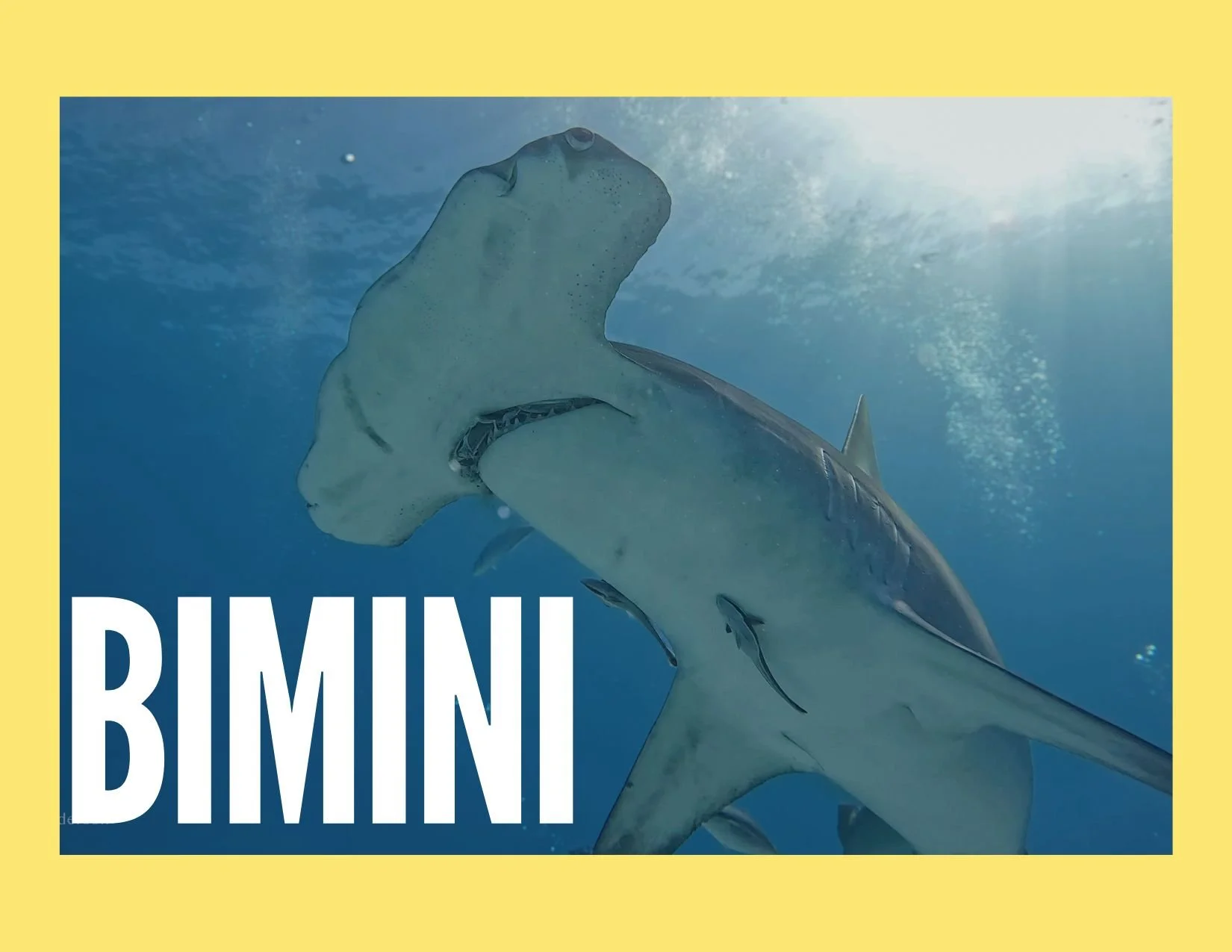 Bimini | 2025