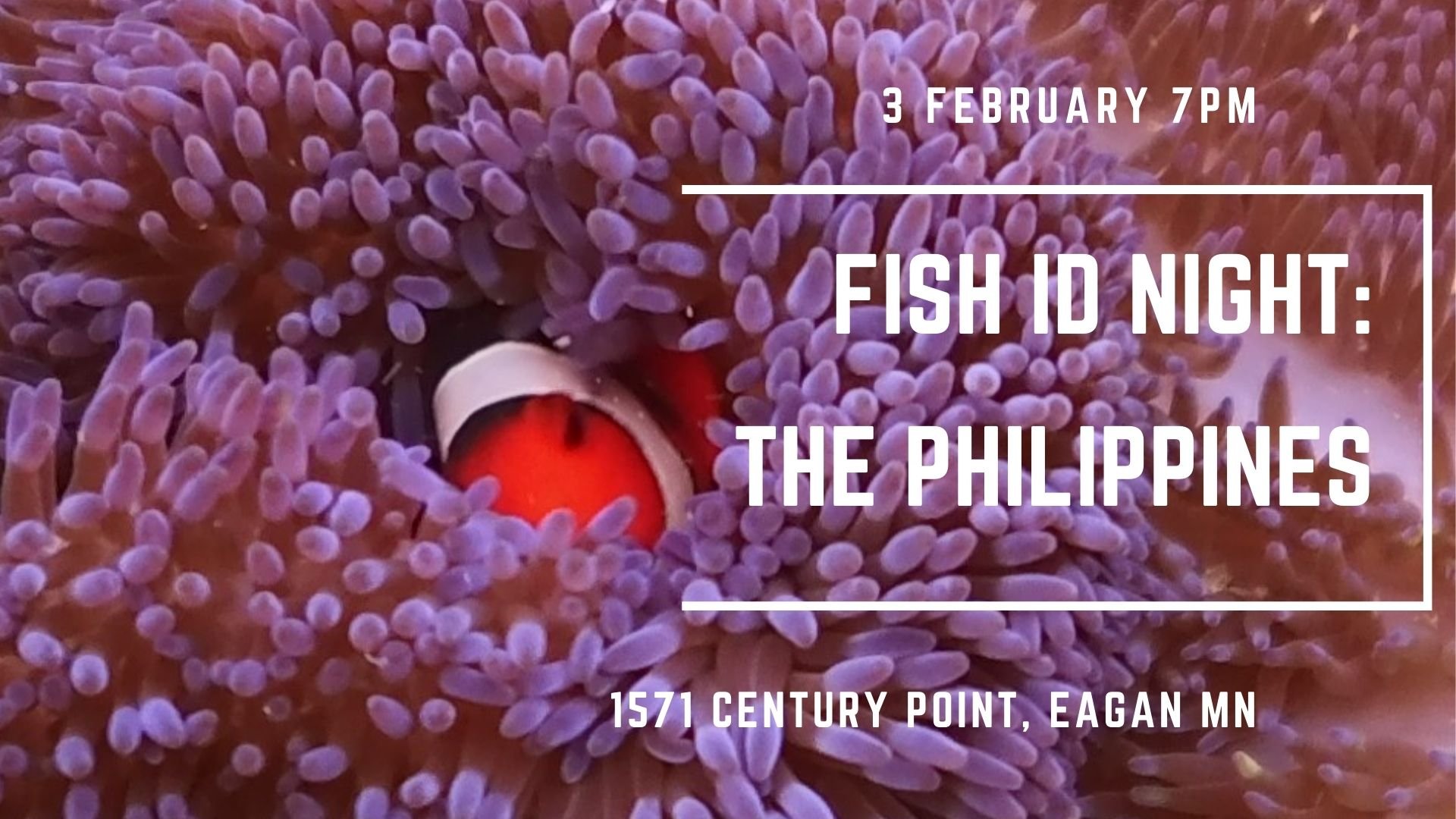 Fish ID: Philippines