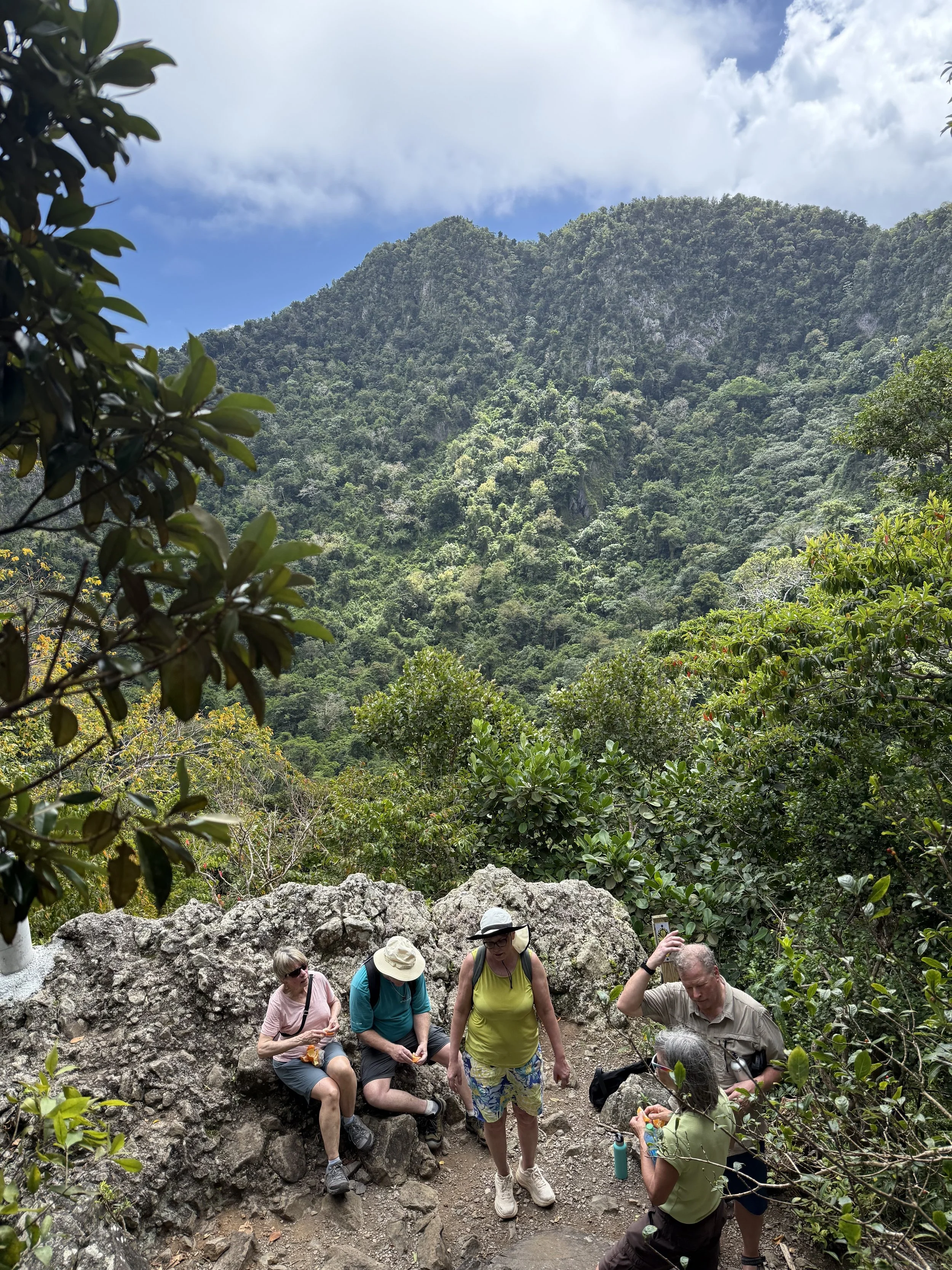 Will.Wu.Statia2600005.jpeg