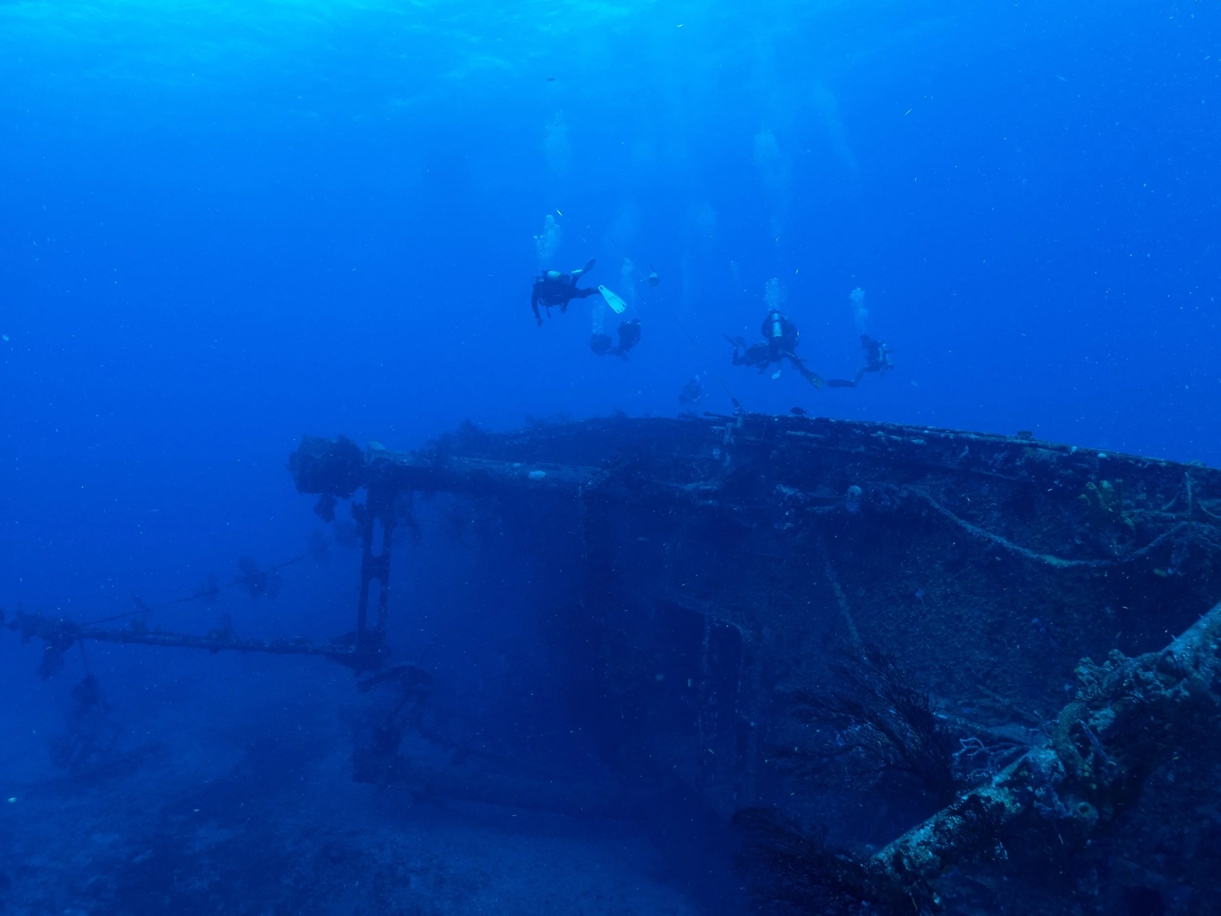 Mike.Morton.Statia2600004.jpg