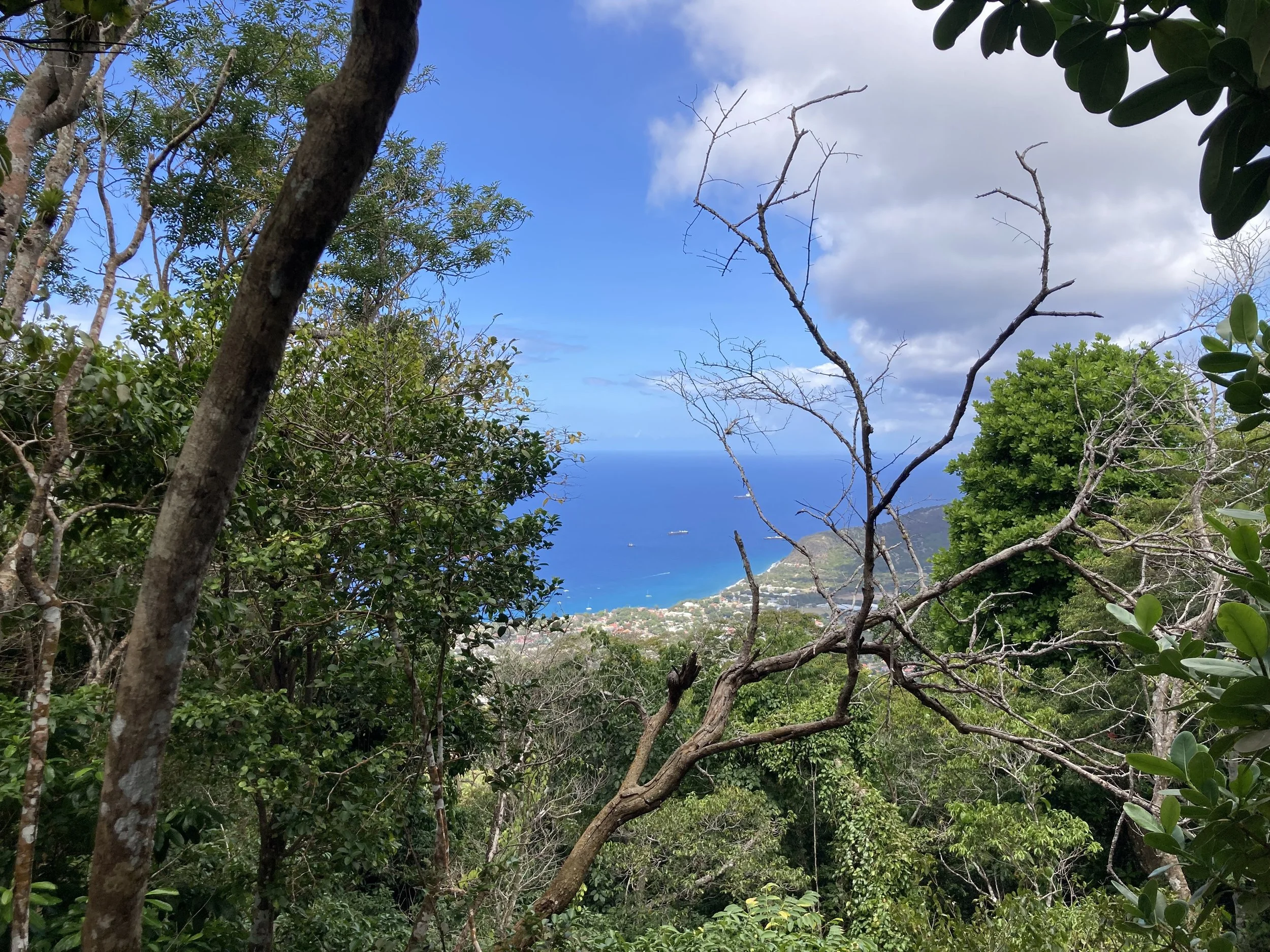 Mary.Nelson.Statia2600006.jpeg