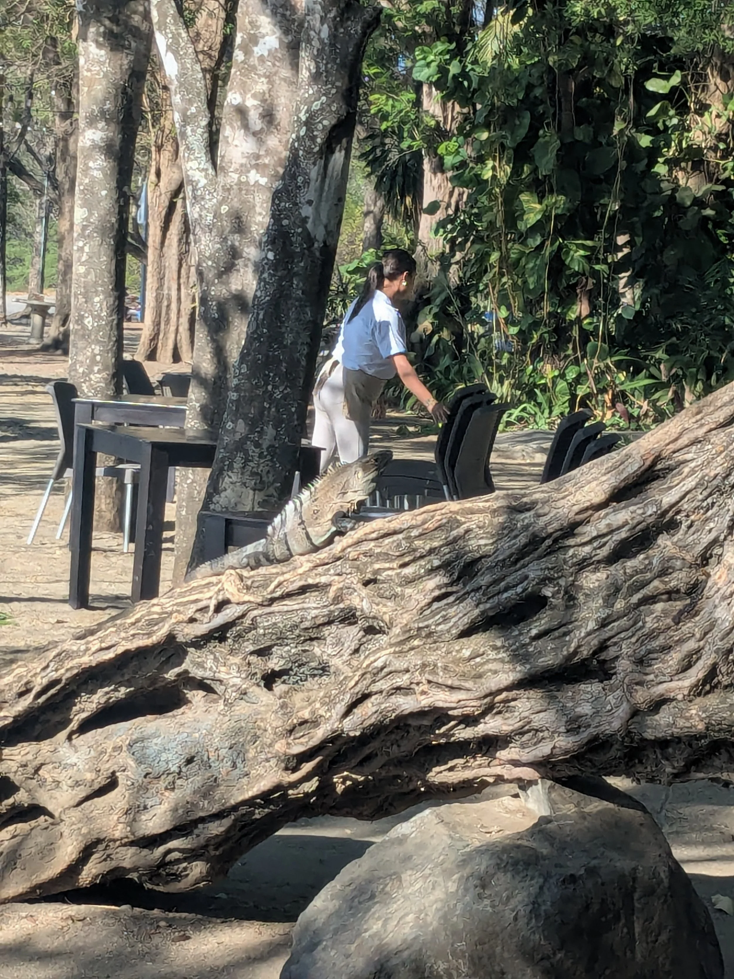Sam.Stevens.CostaRica202600005.jpg