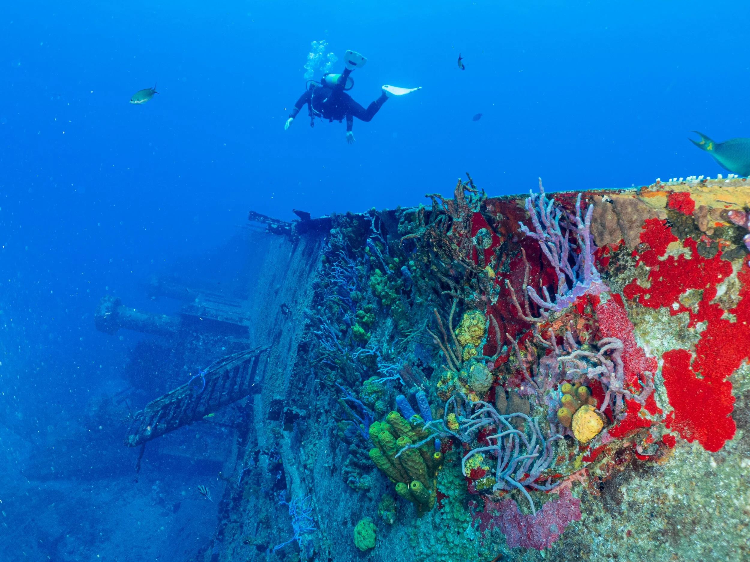 Mike.Morton.Statia2600005.jpg