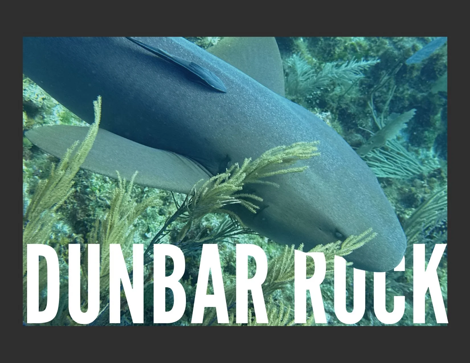 Dunbar Rock | 2026
