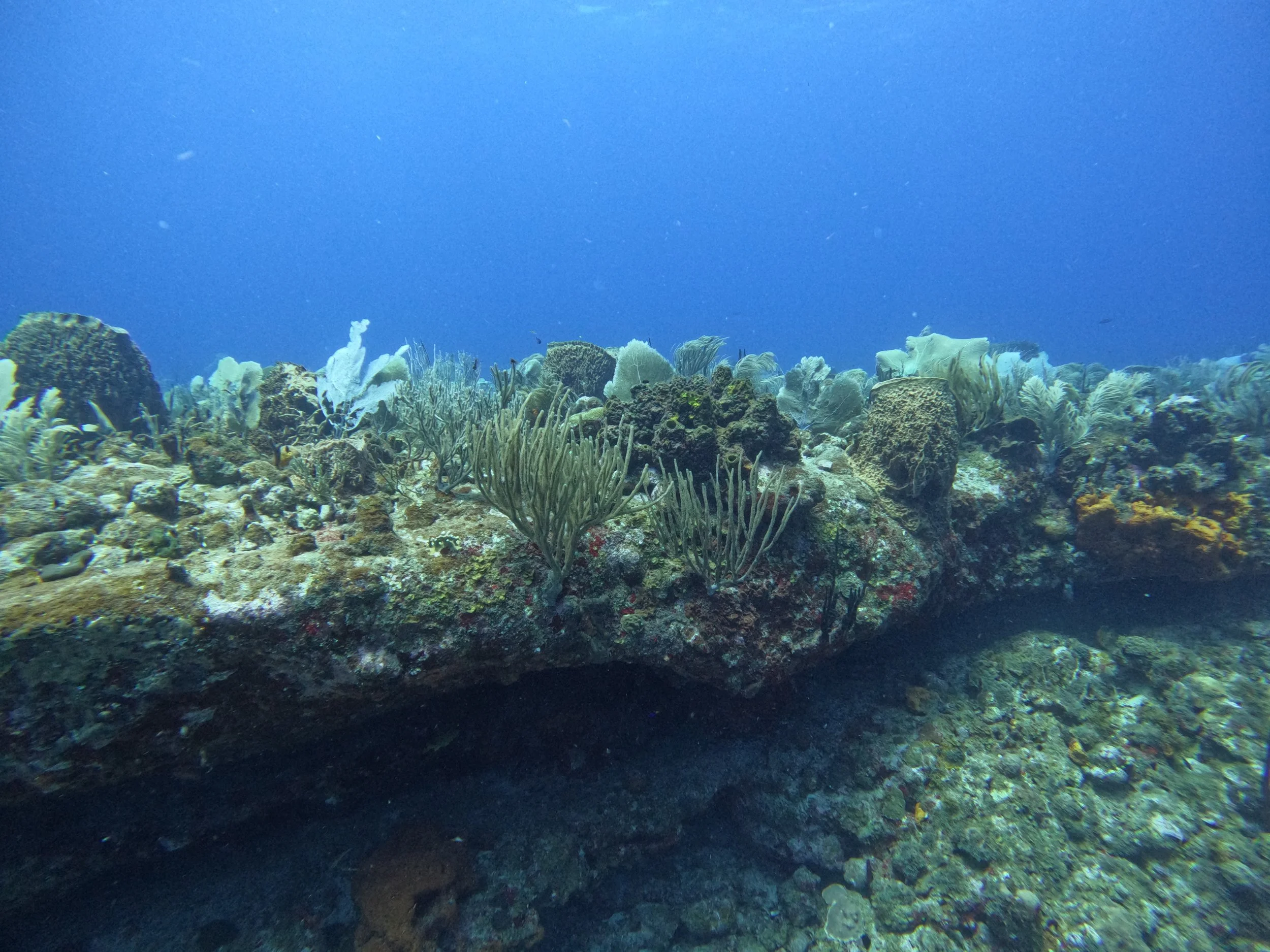 Will.Wu.Statia2600001.jpeg