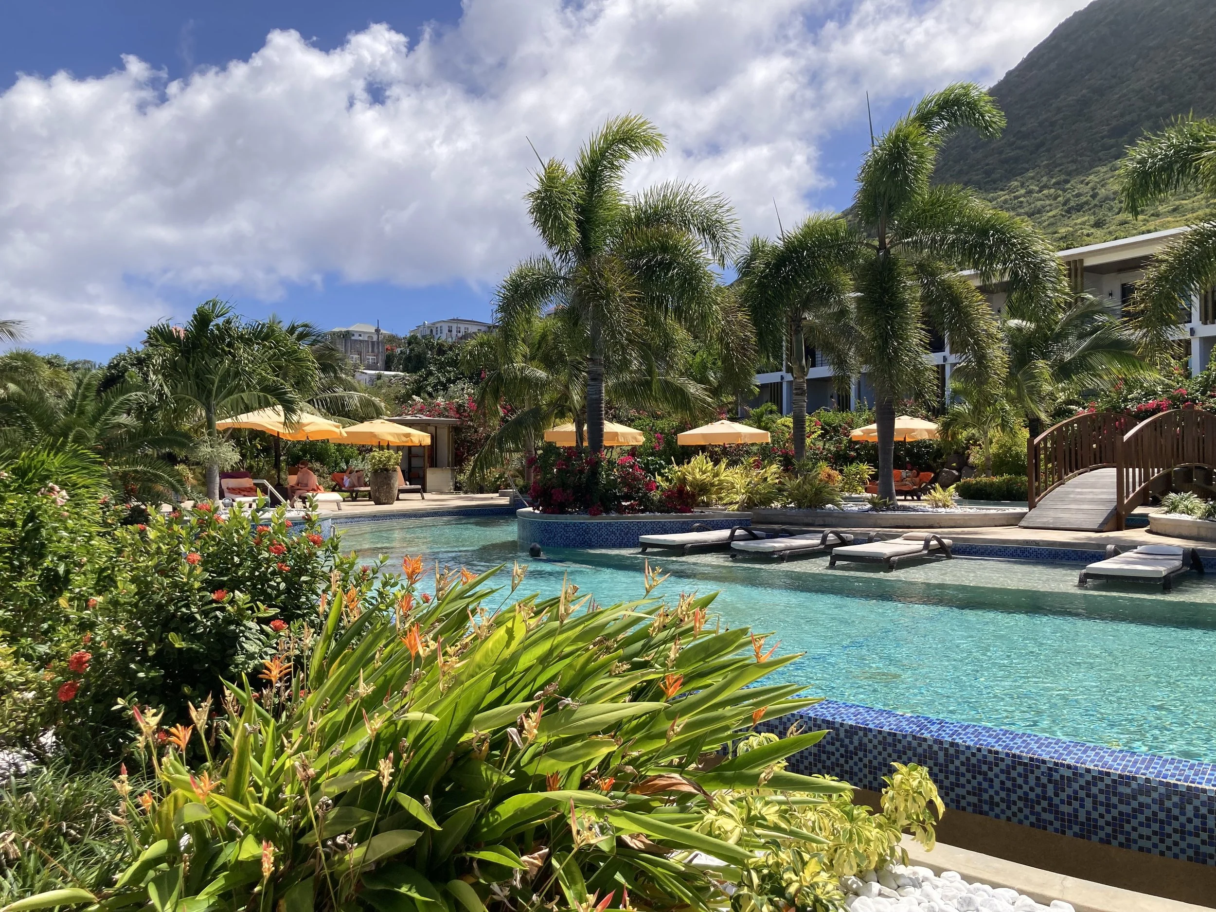 Mary.Nelson.Statia2600009.jpeg