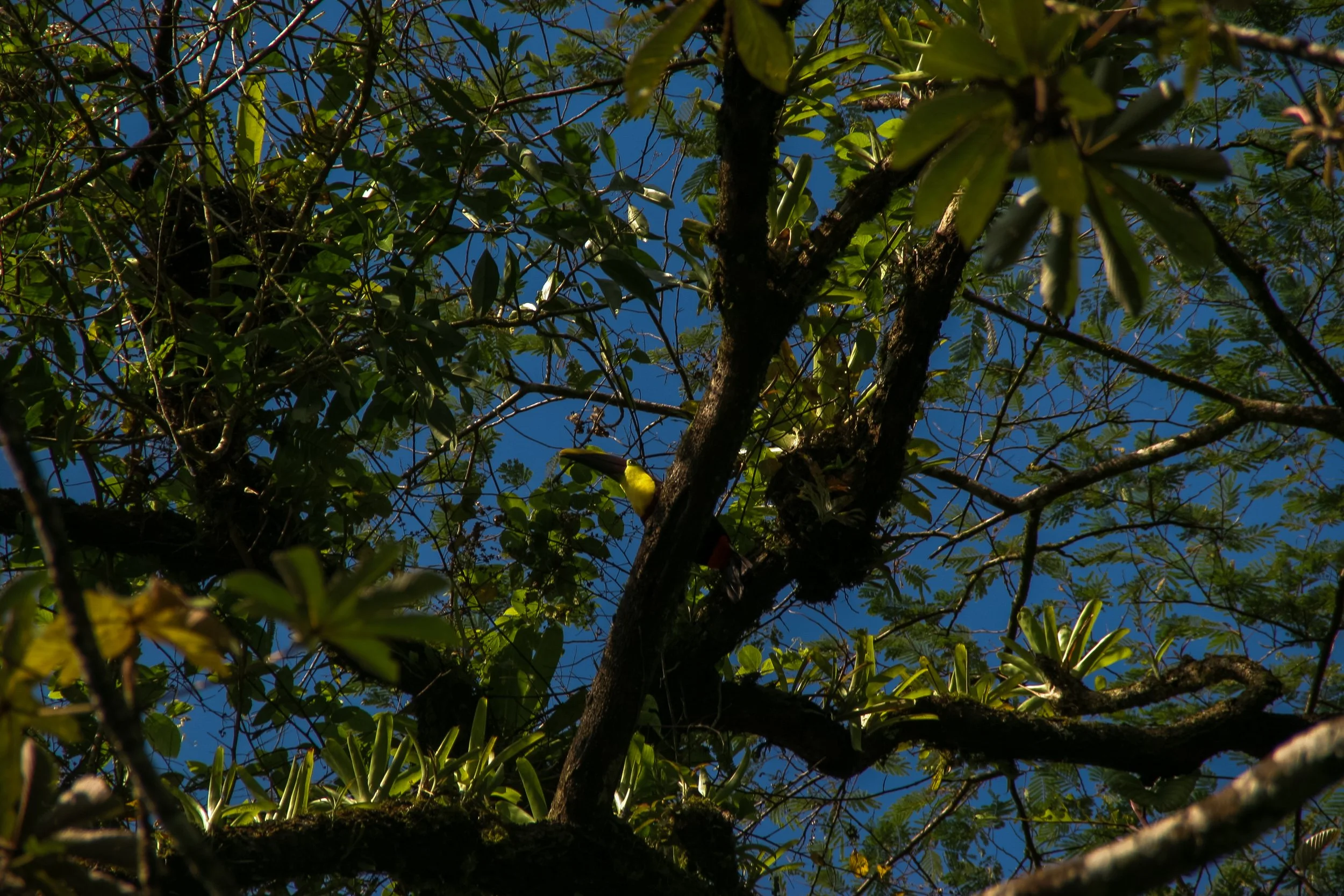IMG_2386.jpg