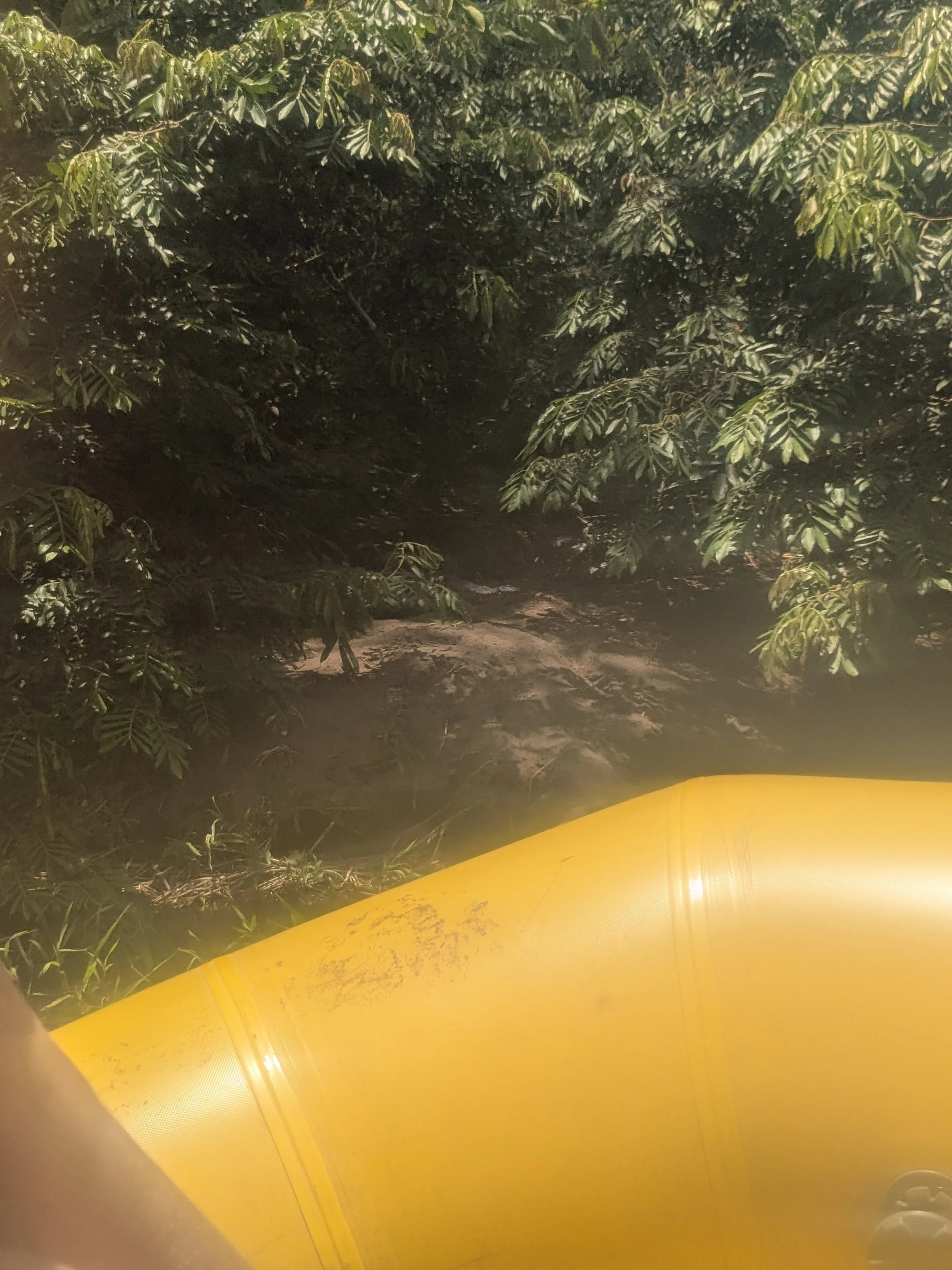 Sam.Stevens.CostaRica202600020.jpg
