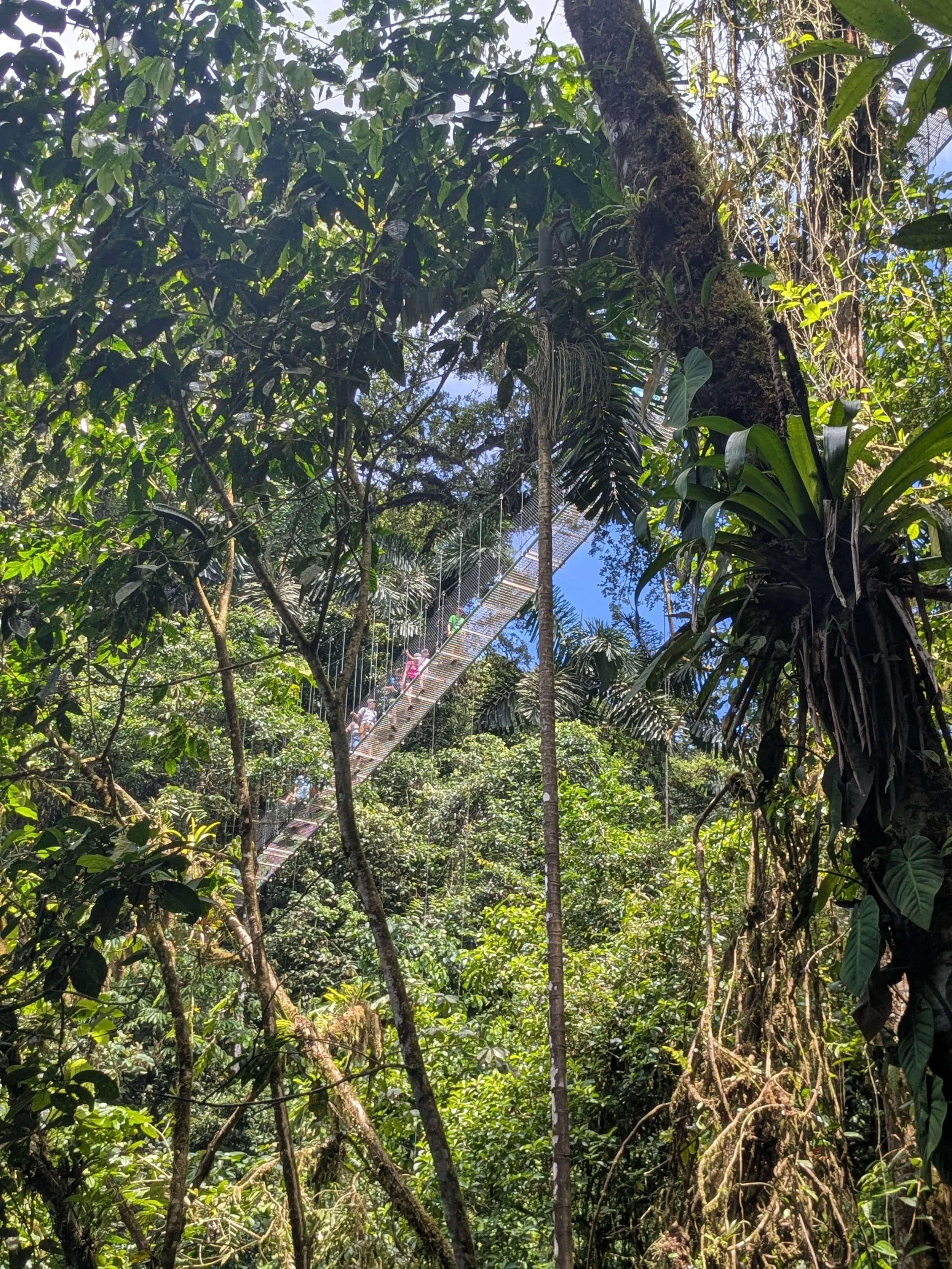 Sam.Stevens.CostaRica202600030.jpg