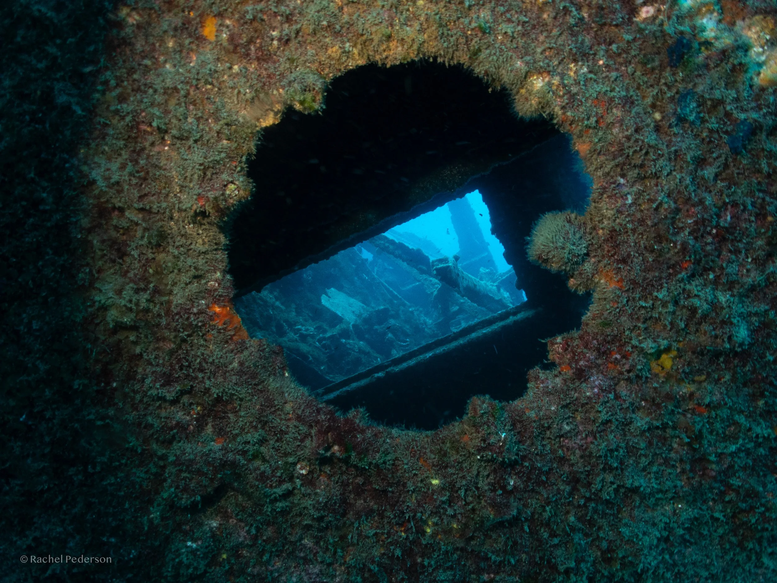 R. PEDERSON PORTUGAL-05.jpg