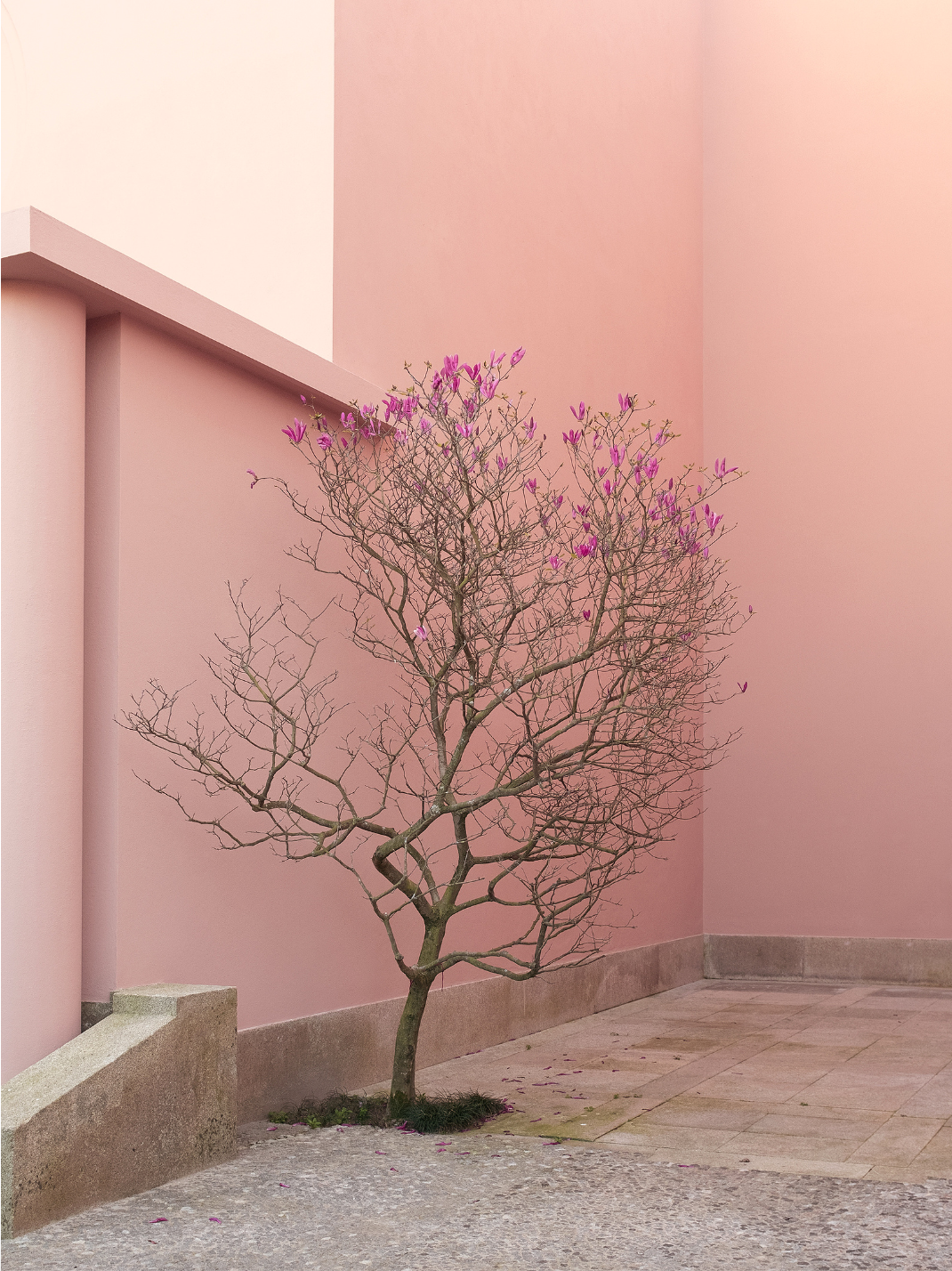 Screenshot 2026-01-07 at 13.41.25.png