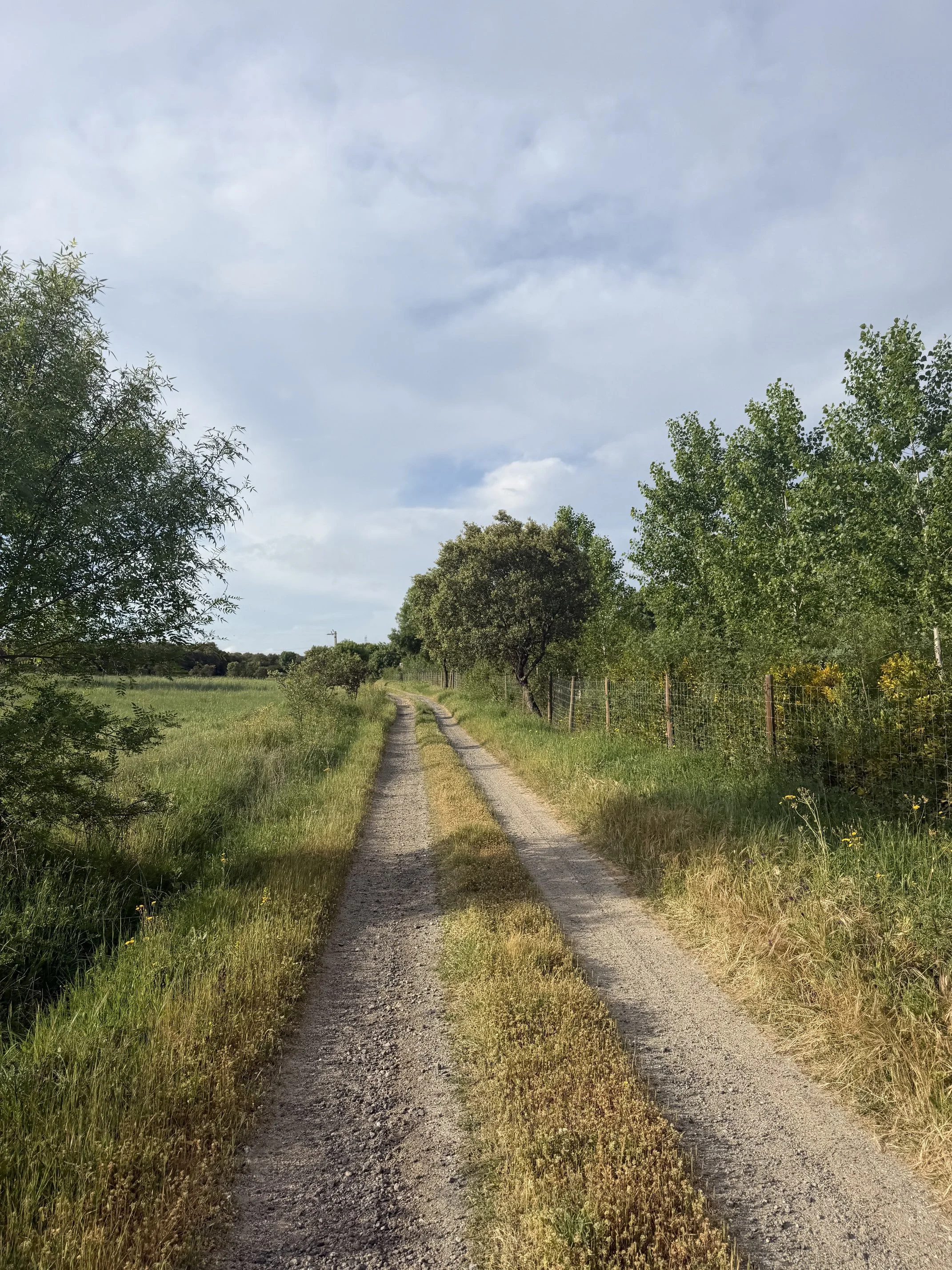 IMG_9705.jpeg
