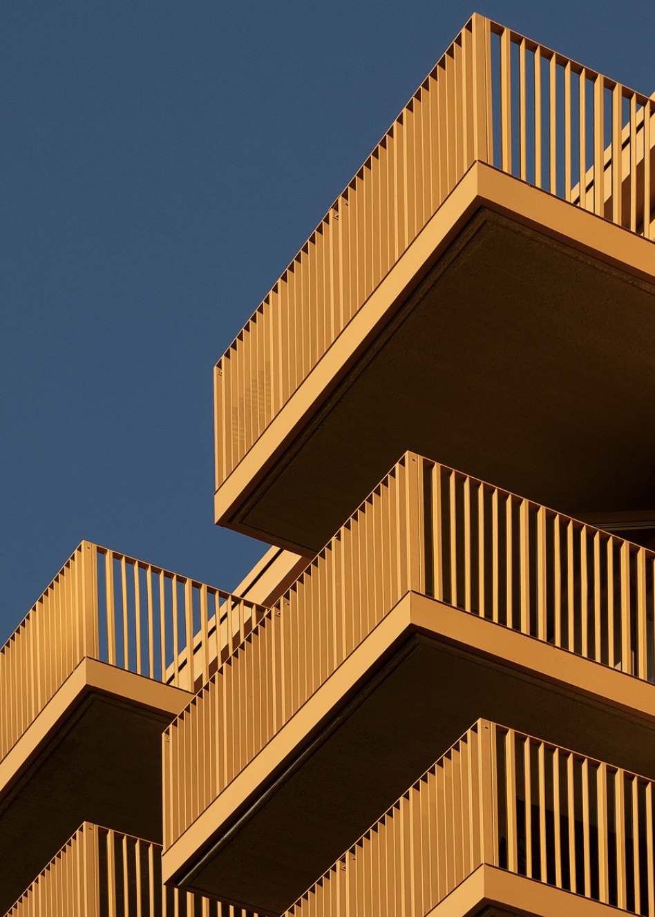 Screenshot 2025-11-20 at 13.01.52.png