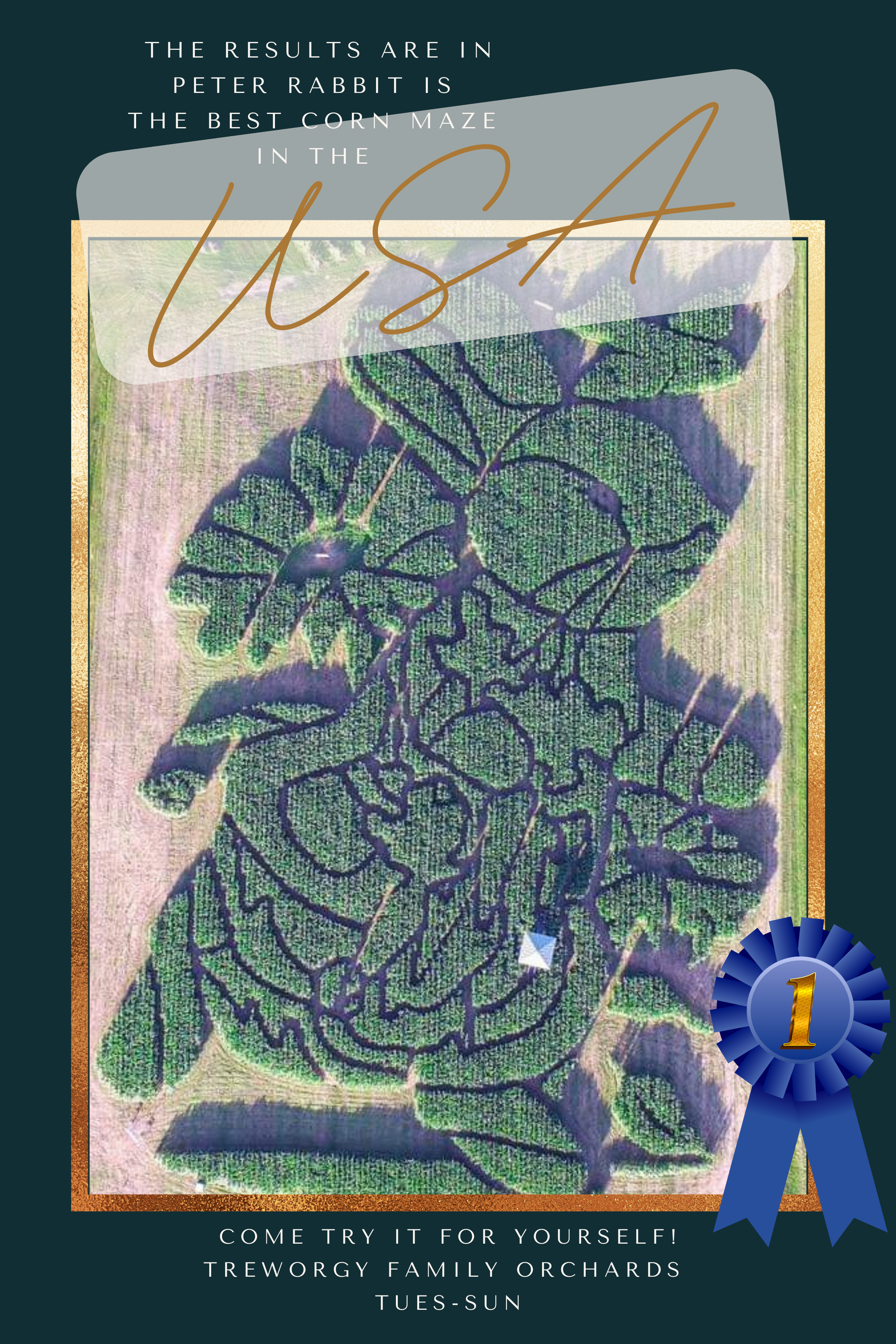 Poster for Treworgy Family Orchards with a satellite image of a corn maze shaped like a rabbit, decorated with a blue first-place ribbon.