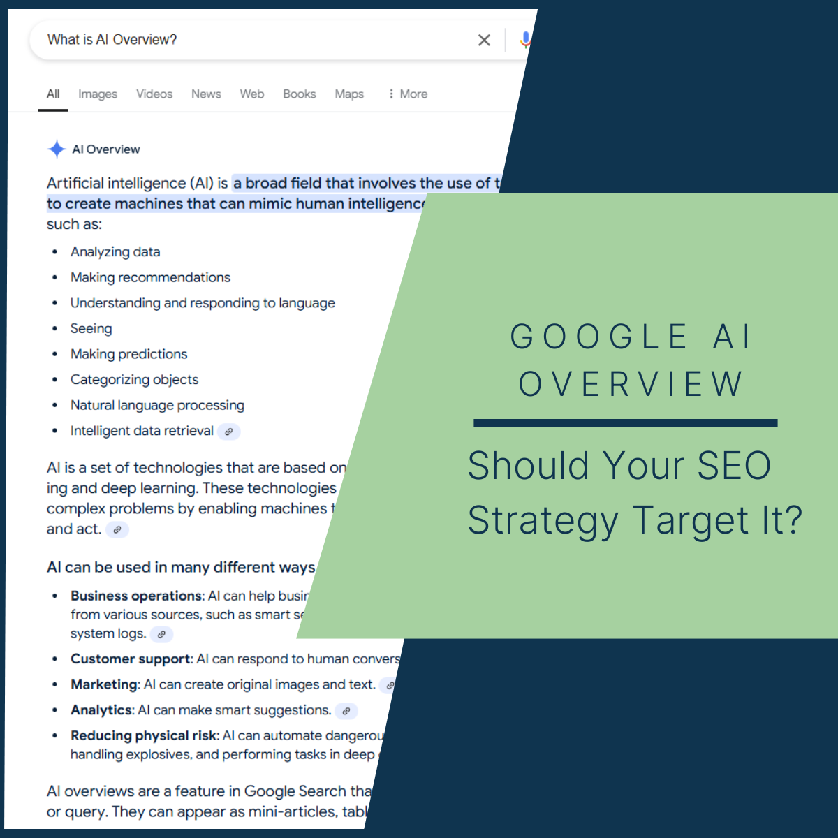 Google AI Overview: Should Your SEO Strategy Target It?