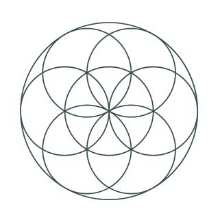 A geometric pattern of intersecting circles forming overlapping flower-like shapes.