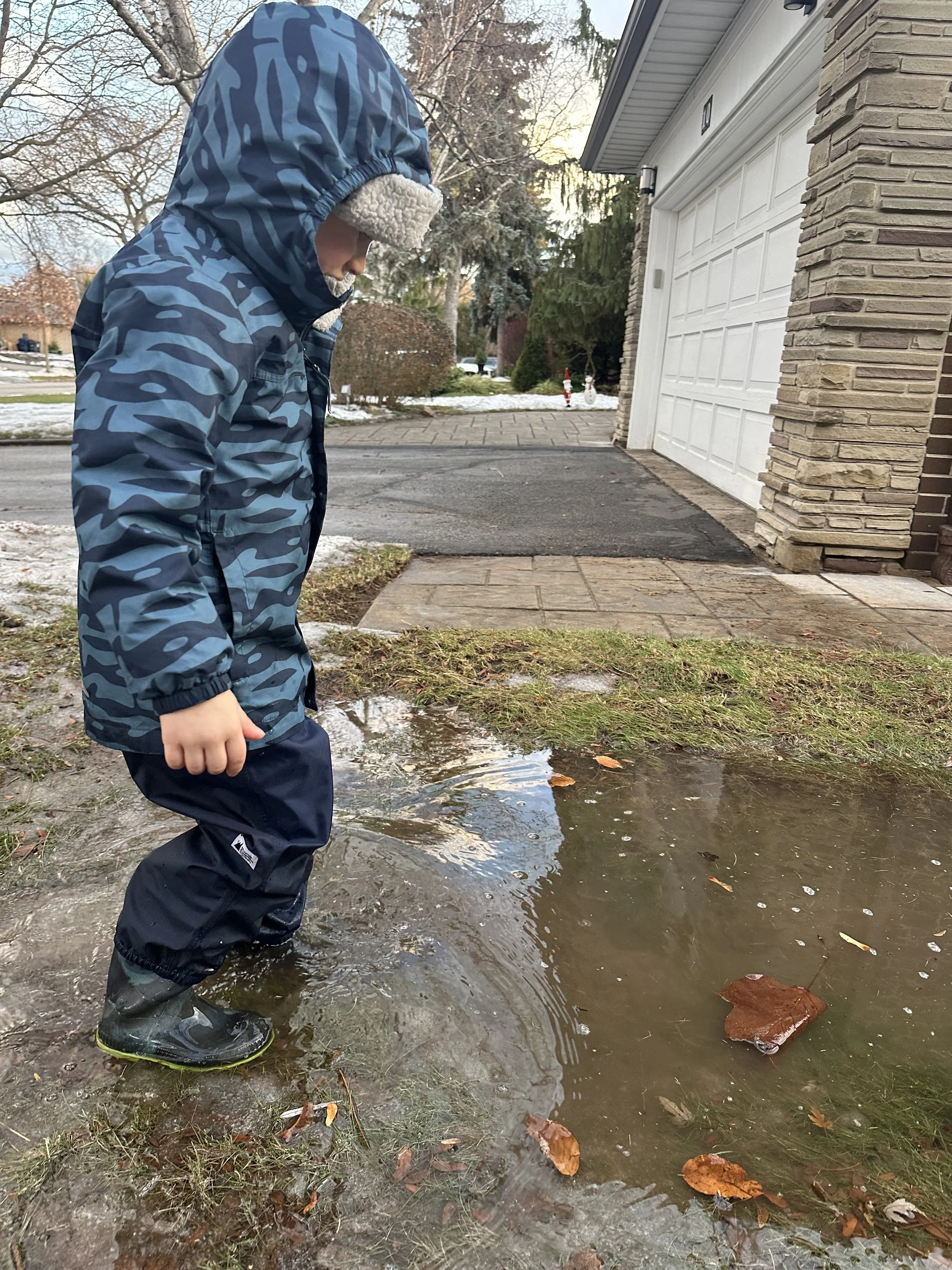 What if life is just one giant mud puddle?