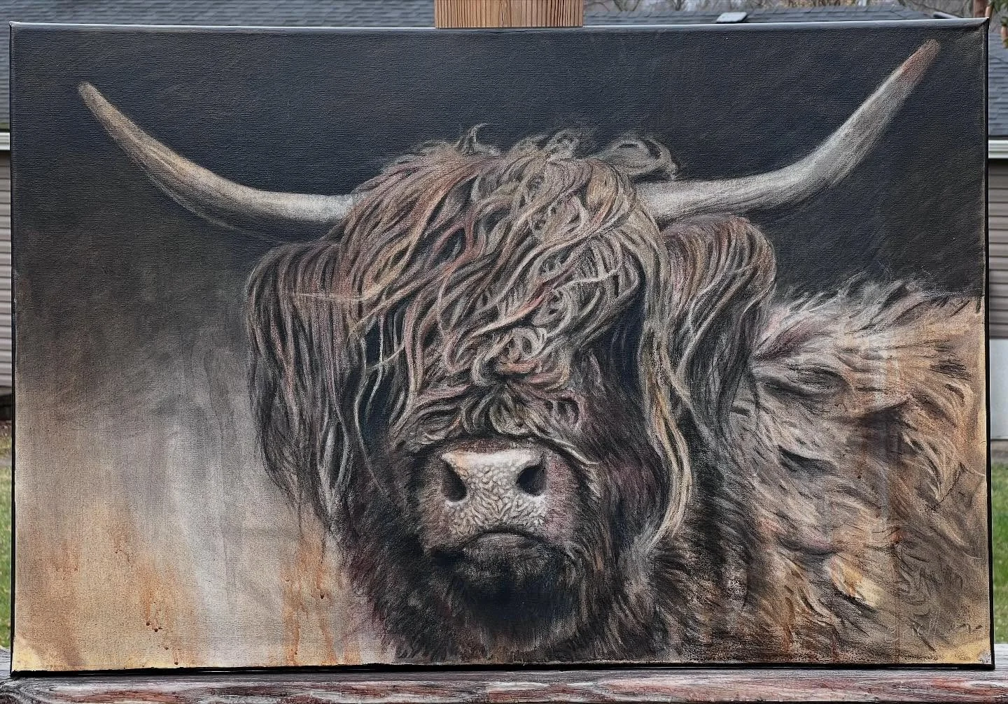 I don&rsquo;t think you&rsquo;ll win a staring contest with this guy!
24&rdquo;x36&rdquo; charcoal and acrylic on canvas of a Highland Cow.