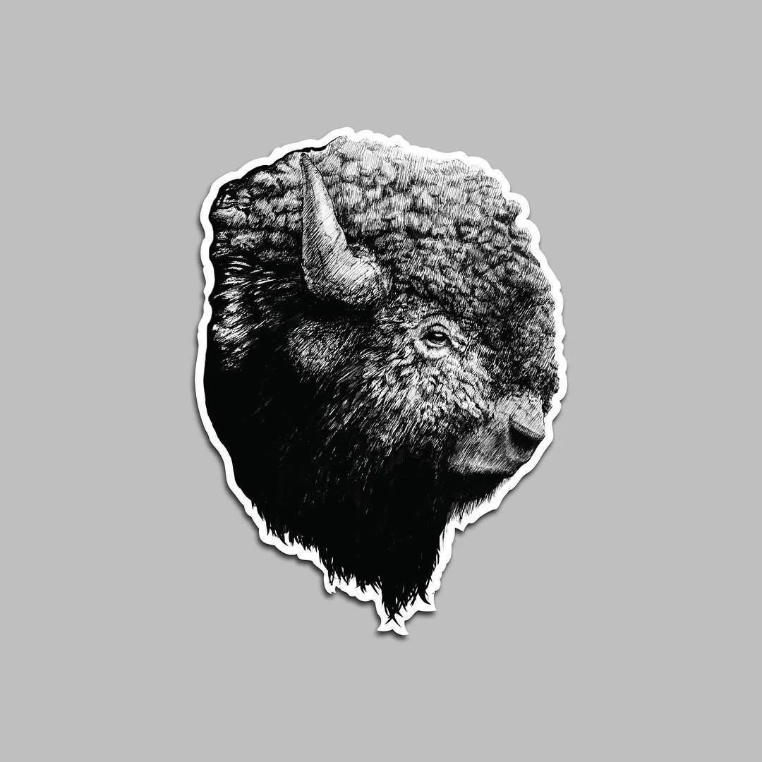 New decal from one of my pen and ink drawings of a buffalo. Printed on 3M vinyl and laminated for outdoor use. #buffalo #decal #drawing #penandink