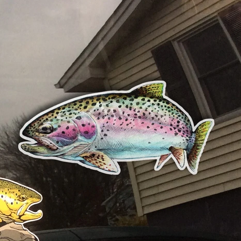 New rainbow trout decal taken from the previous posts painting. They are 5&rdquo;x2.5&rdquo; #decal #sticker #trout #rainbow #fishing