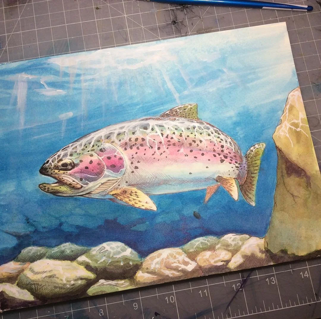 Another rainbow trout watercolor/ink painting.#trout #watercolor #art #fishing #inkpainting