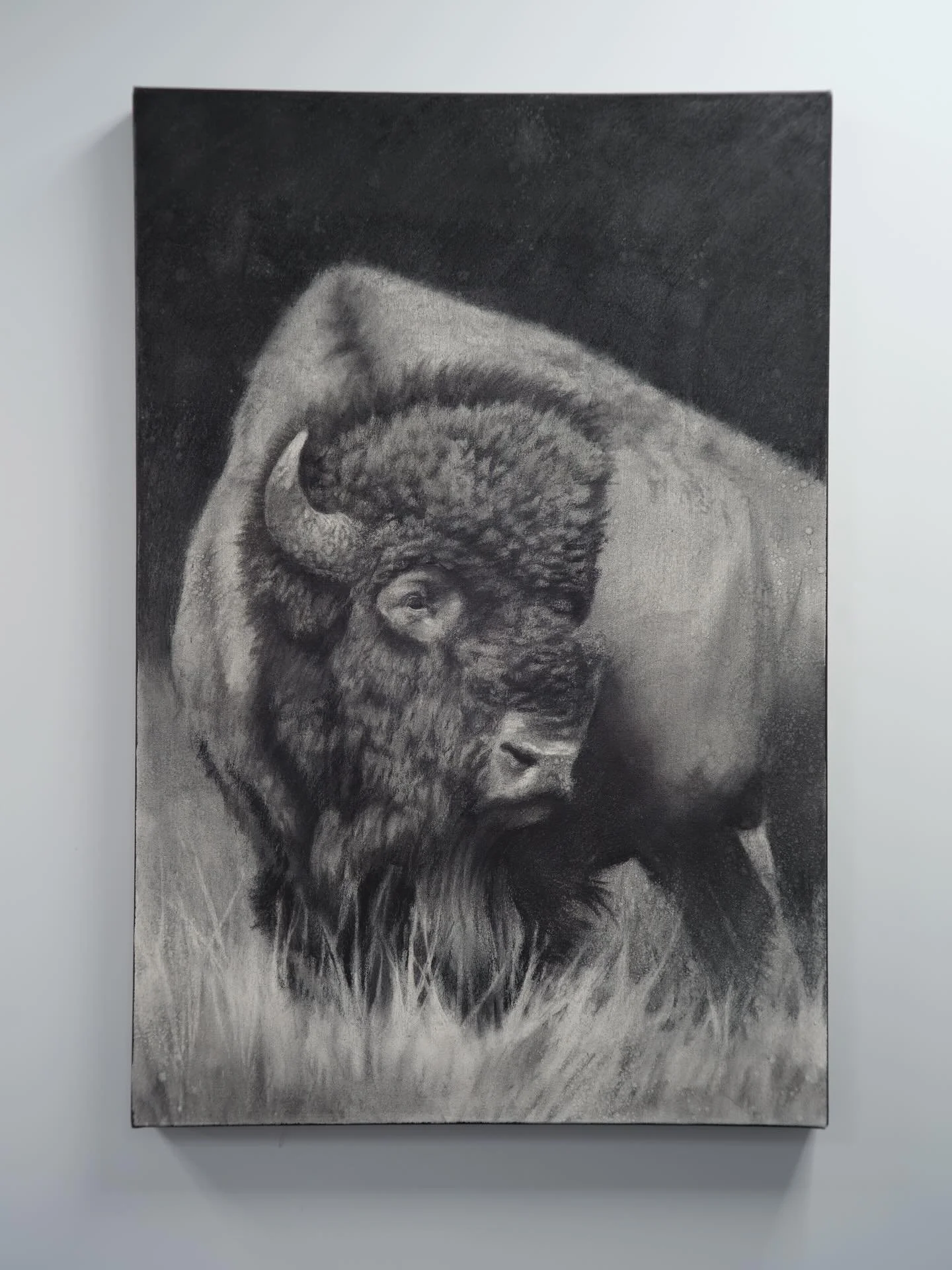 24x36 charcoal on canvas &mdash; a study in texture, patience, and presence. Every mark shaped to echo the weight and spirit of the plains. Thanks to @ifteddymadeart for taking the photos!#charcoaldrawing #fineart #originalart#bisonart #wildlifeart #