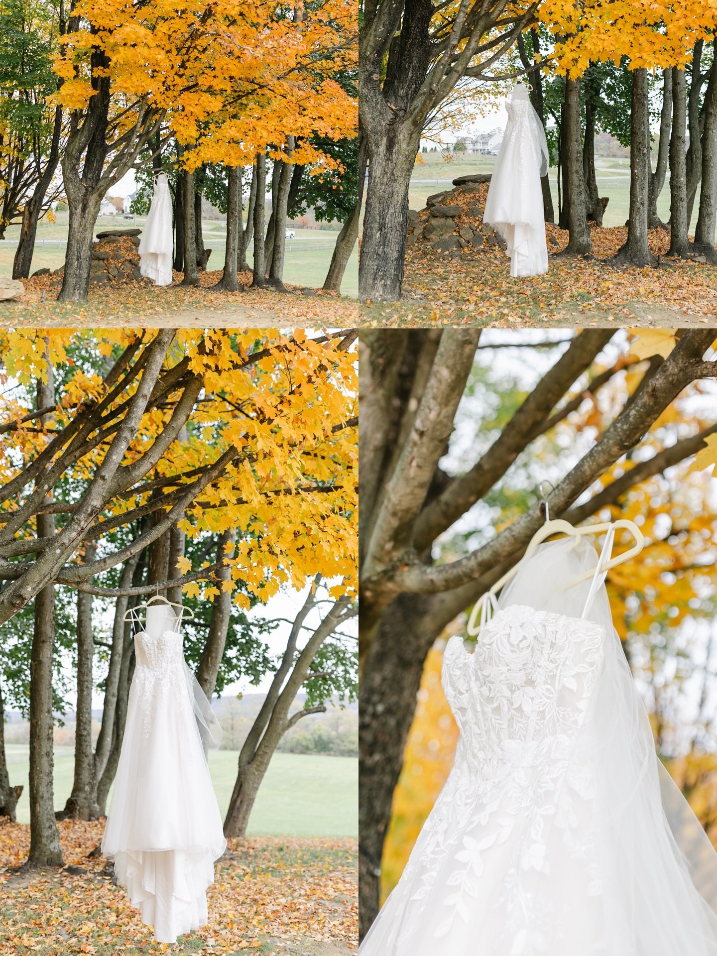 Golden Hour + Main Character Energy 🍁 

Venue: @gordonspringsva 
Coordination: @taylordoesweddings_ &amp; @kristen_wdbt  via @whitedressblacktie 
Photography: @taylorwebsterphotography