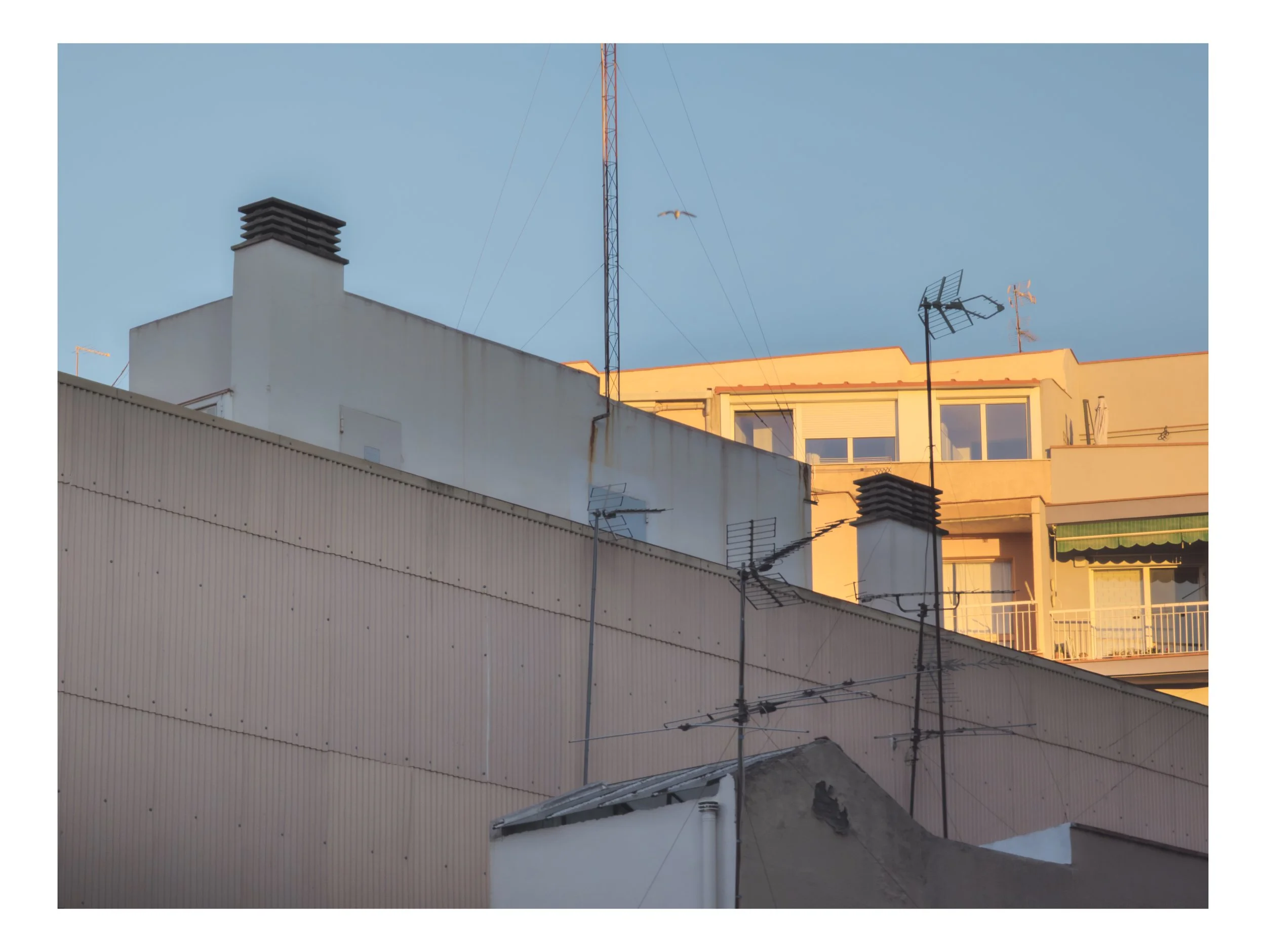 PXL_20251121_070506464.RAW-02.ORIGINAL (4).jpg