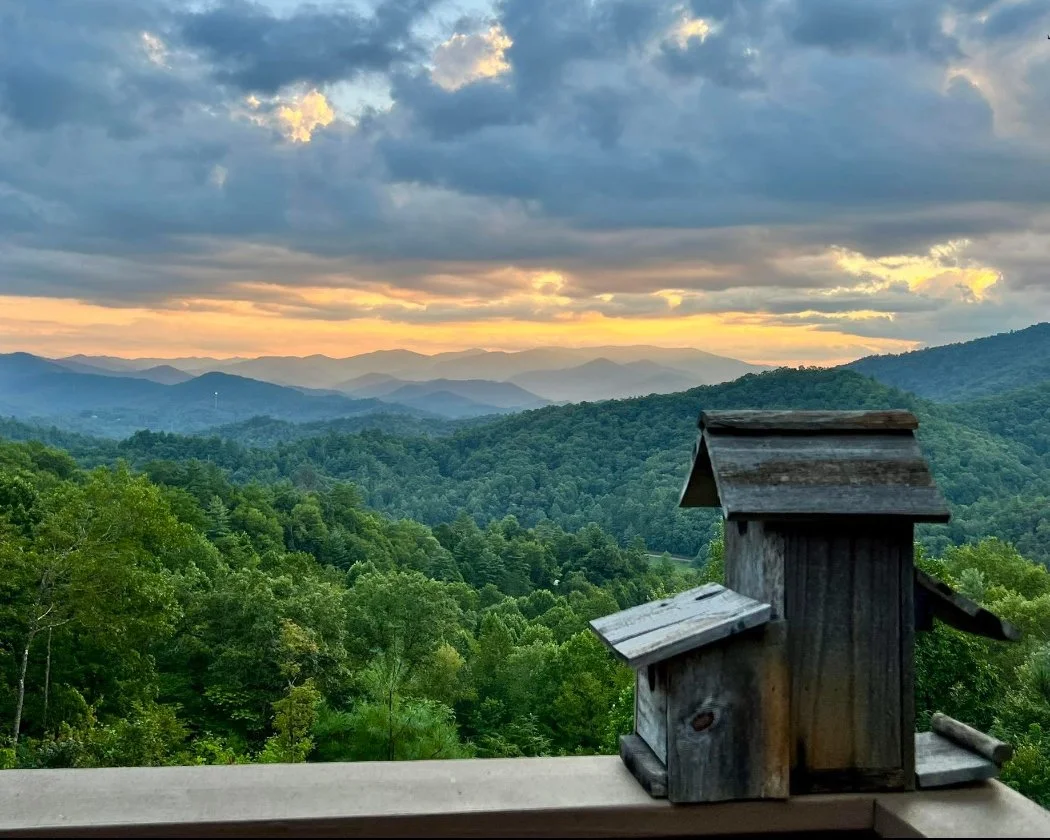 Sunset over layered green mountains with a cloudy sky and a rustic wooden birdhouse on a railing in the foreground.