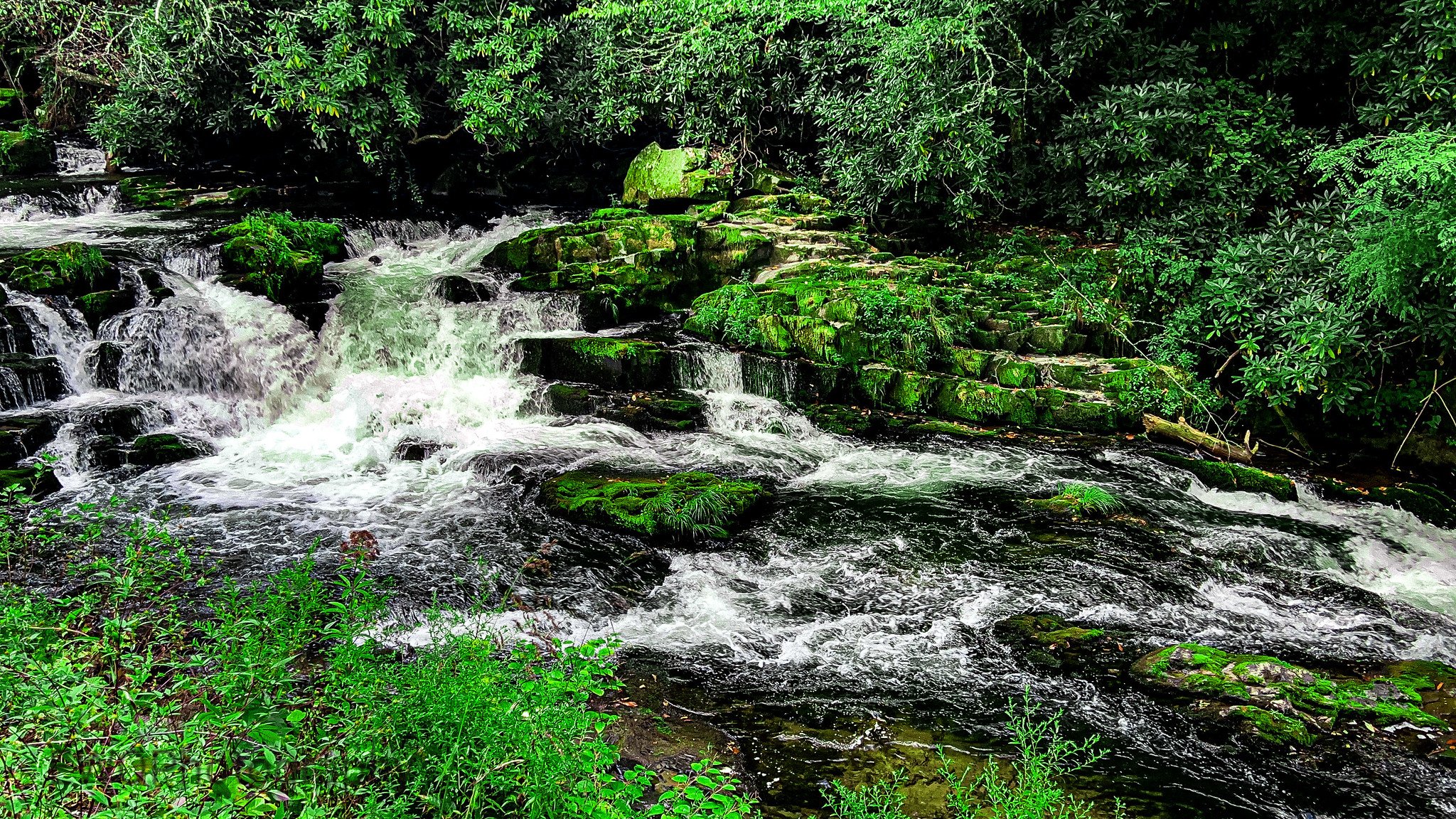 A flowing river with small waterfalls surrounded by lush green vegetation and moss-covered rocks.