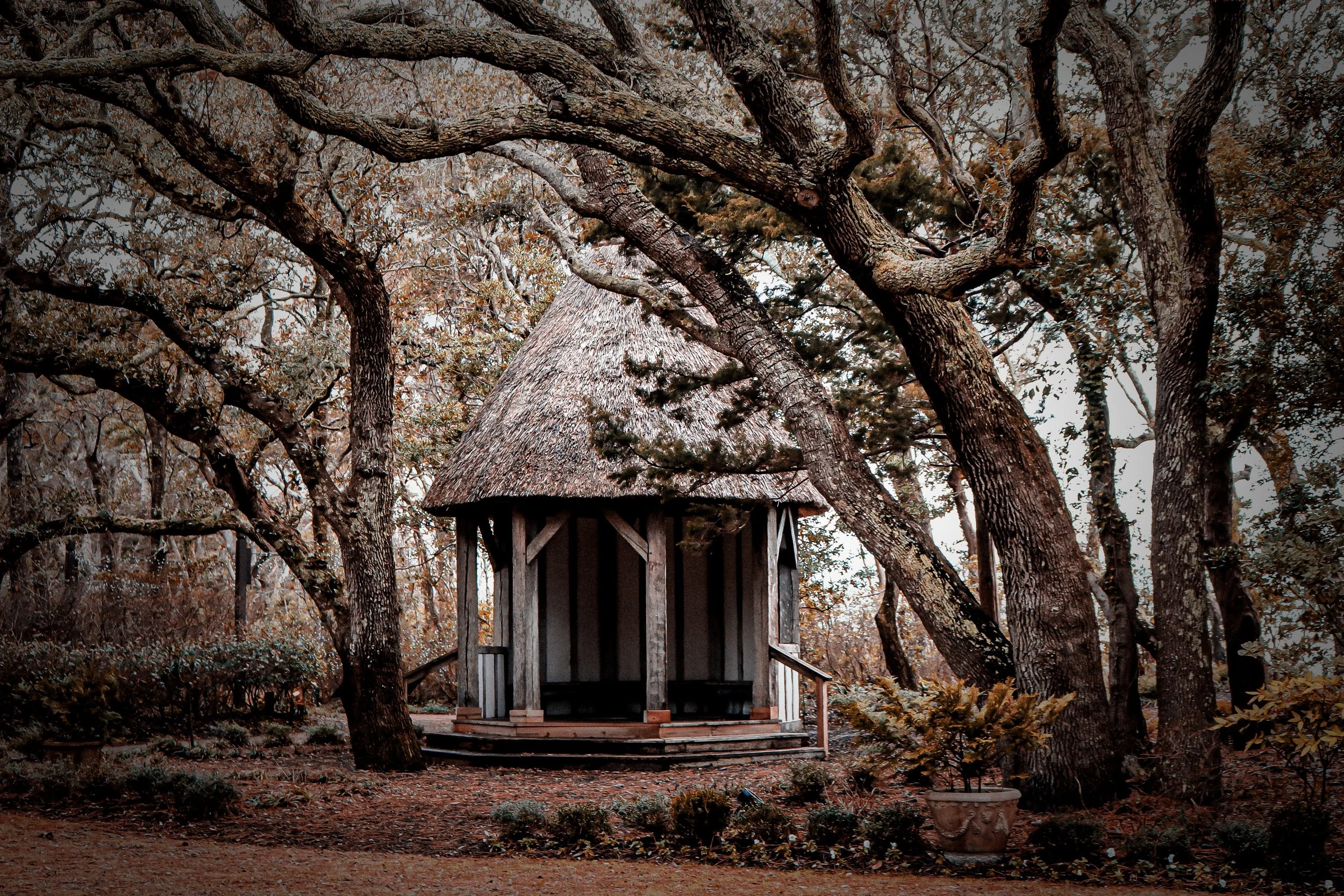 A rustic wooden gazebo with a thatched roof surrounded by tall, twisted trees in an autumn forest setting.