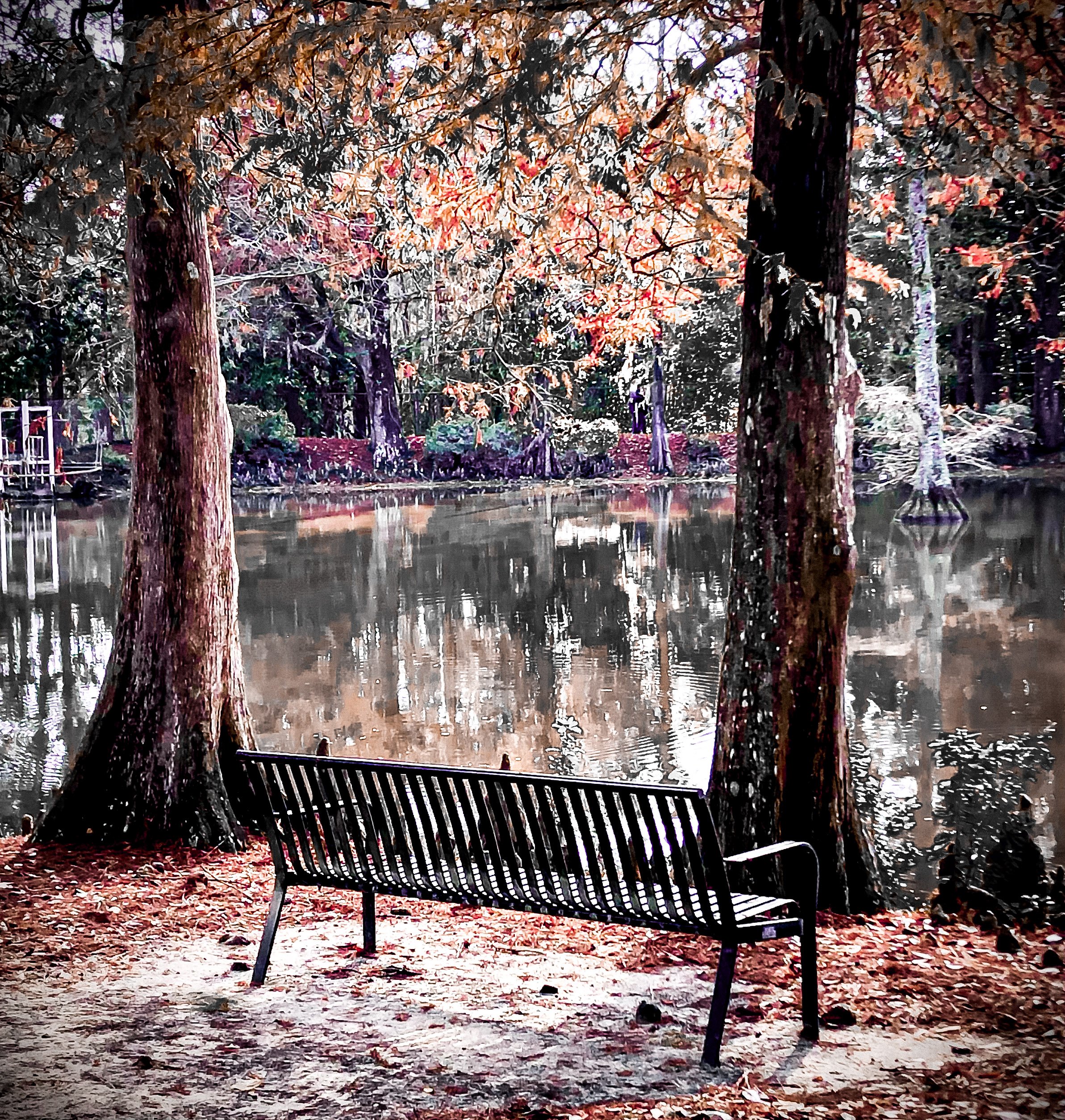A black metal park bench facing a calm lake surrounded by trees with autumn-colored leaves, some of which are reflecting on the water's surface.