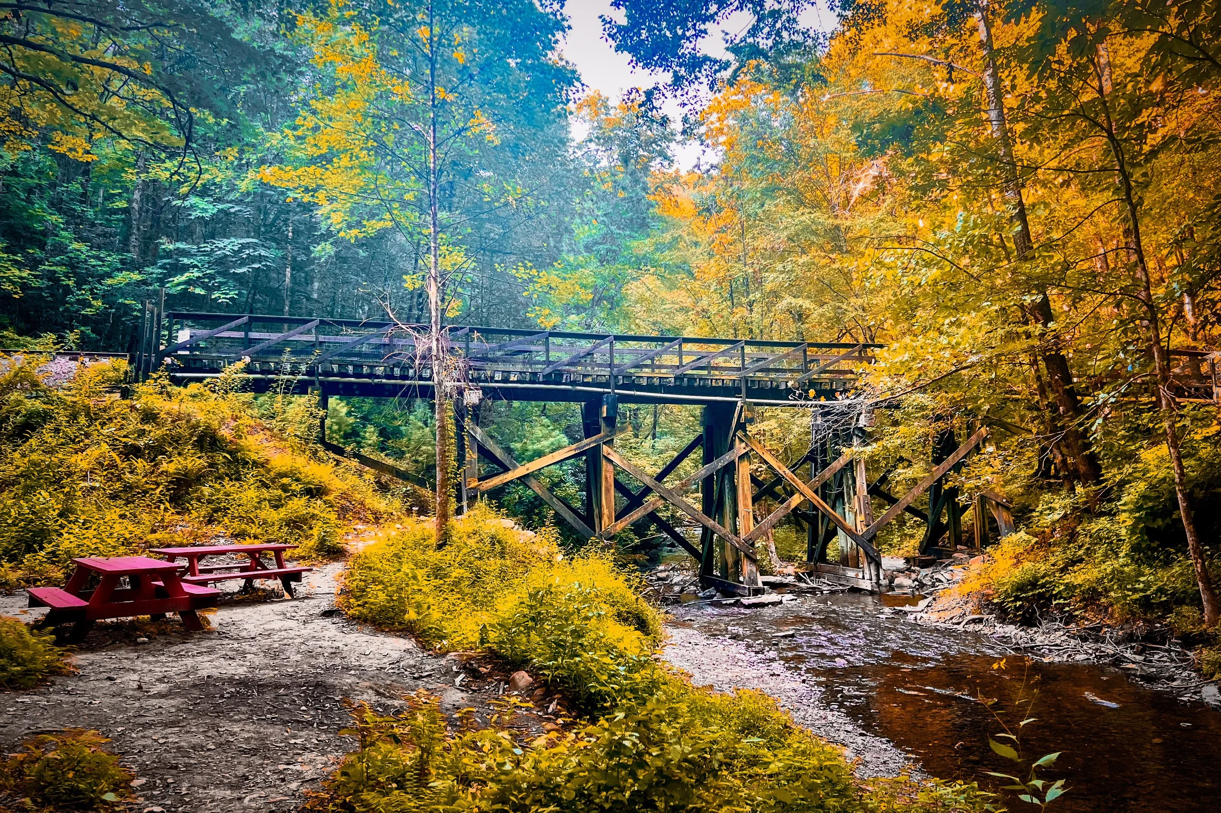 A wooden bridge crossing over a small river in a dense forest with autumn foliage, and a pink picnic table nearby.