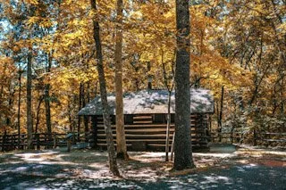 A log cabin surrounded by trees with fall foliage and snow on the ground.