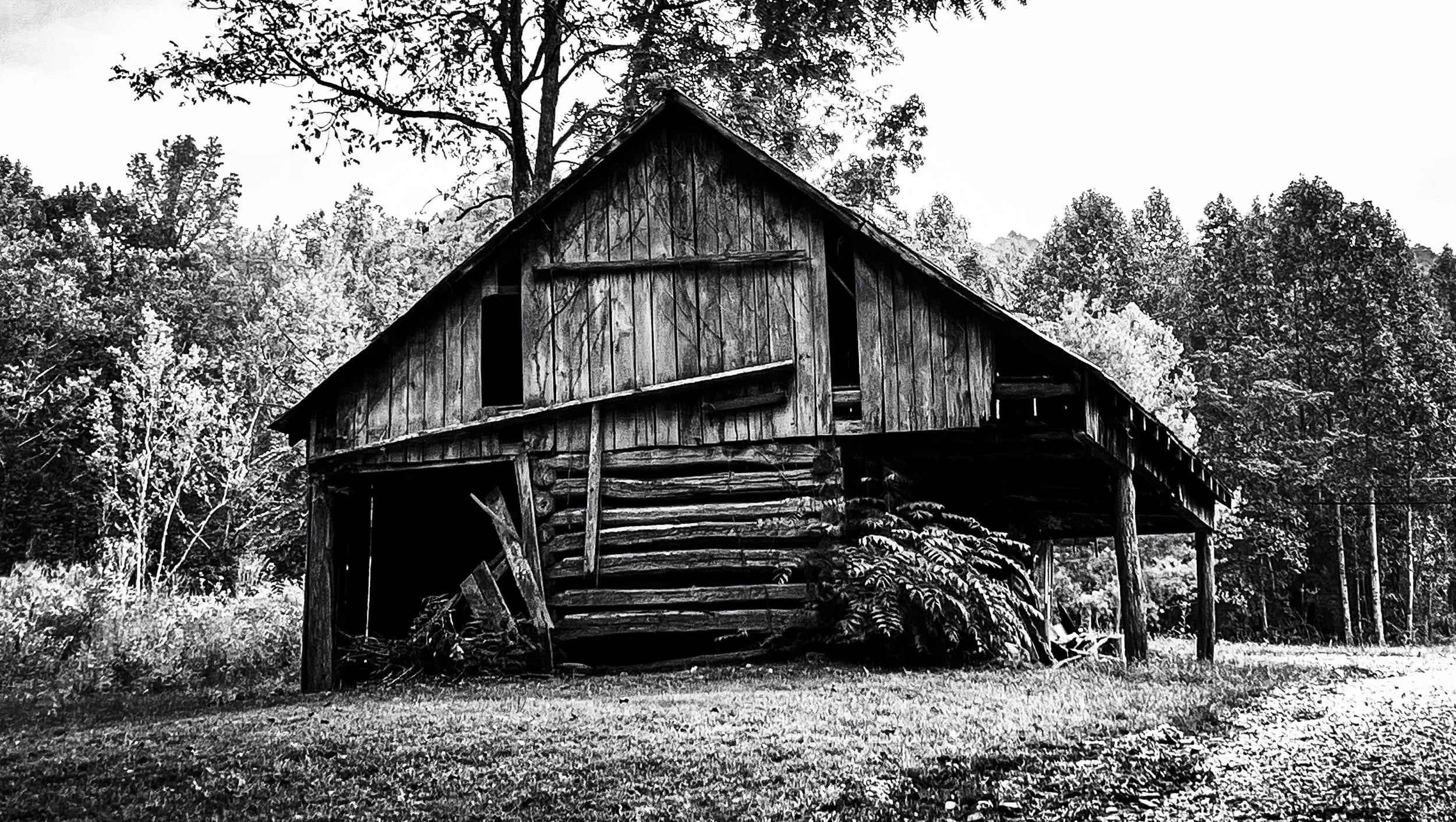 An abandoned wooden barn in a rural area, surrounded by trees, with some damaged structural parts and overgrown vegetation.