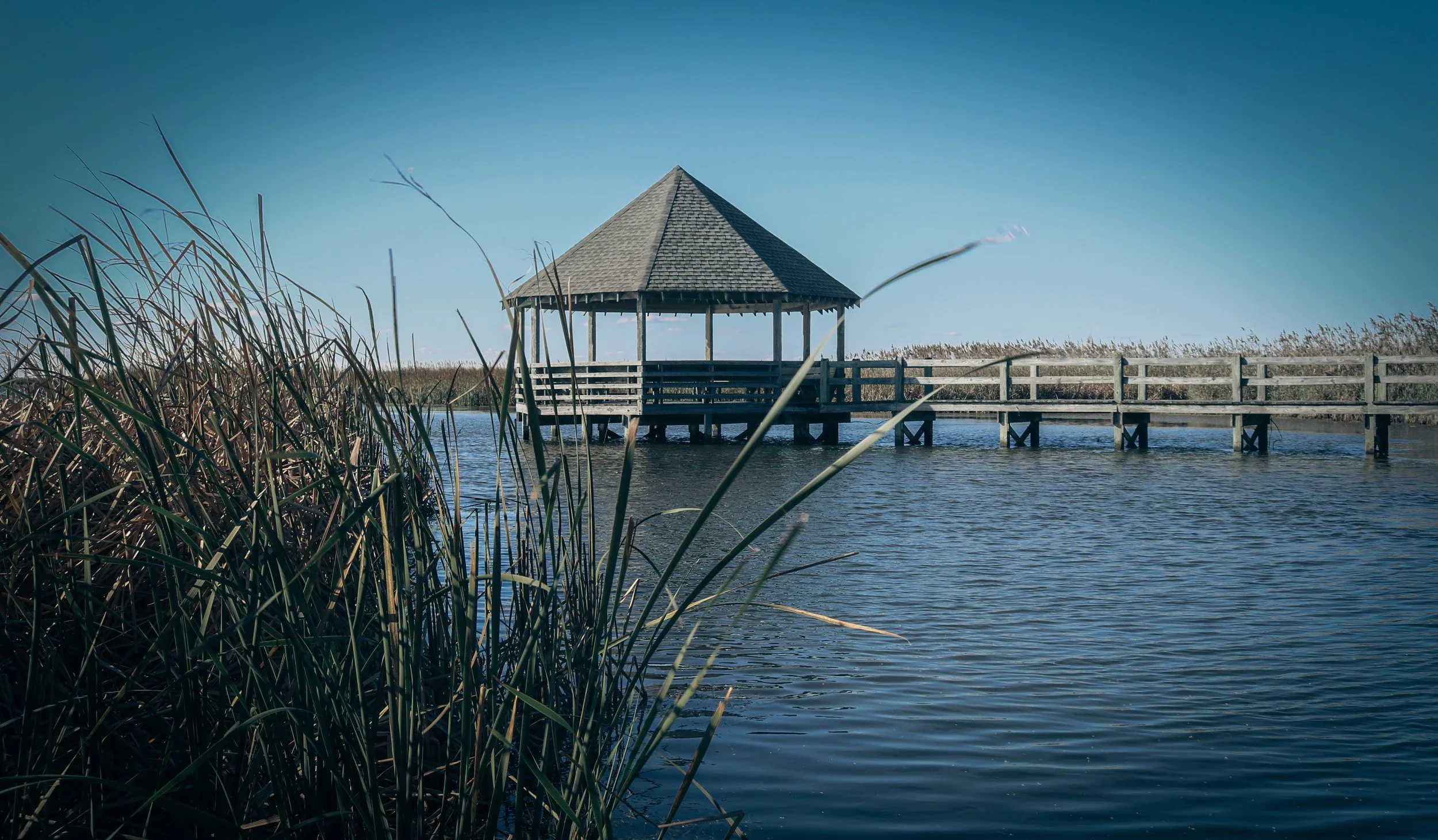 A wooden pier extending into a body of water with a small gazebo at the end, surrounded by tall grass under a clear blue sky.