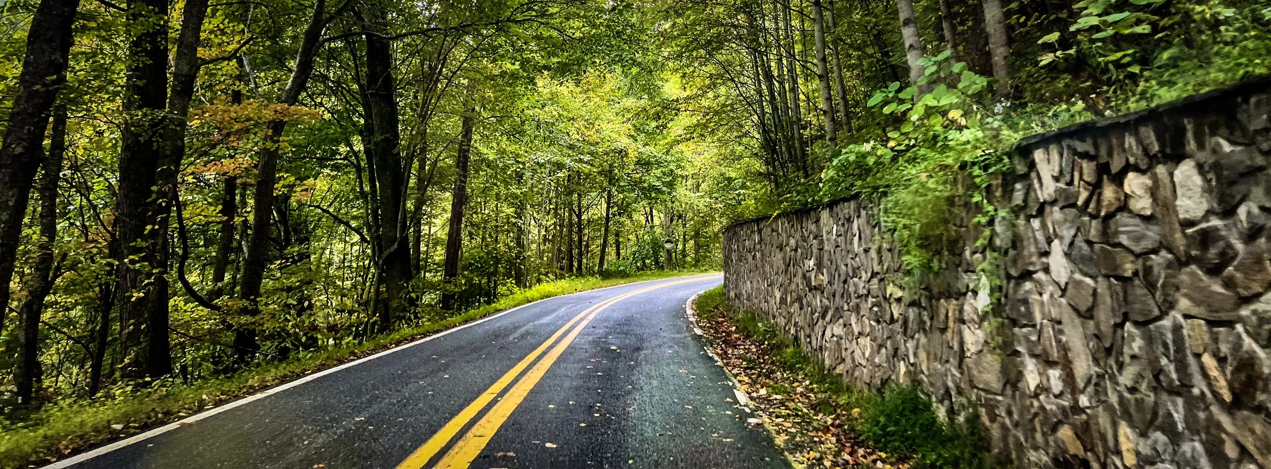 A winding road through a green forest with a stone wall on the right side.