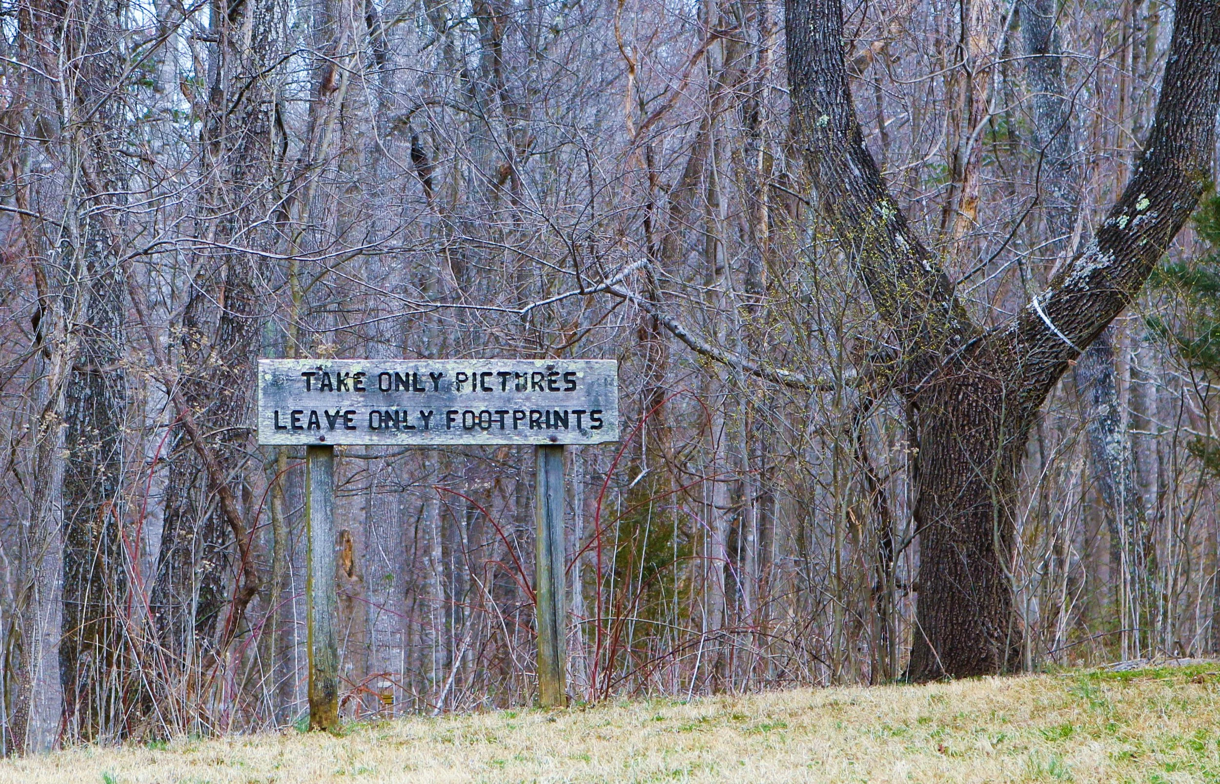 A wooden sign in a wooded area with leafless trees, reading 'Take only pictures, leave only footprints', surrounded by grass and natural vegetation in late winter or early spring.
