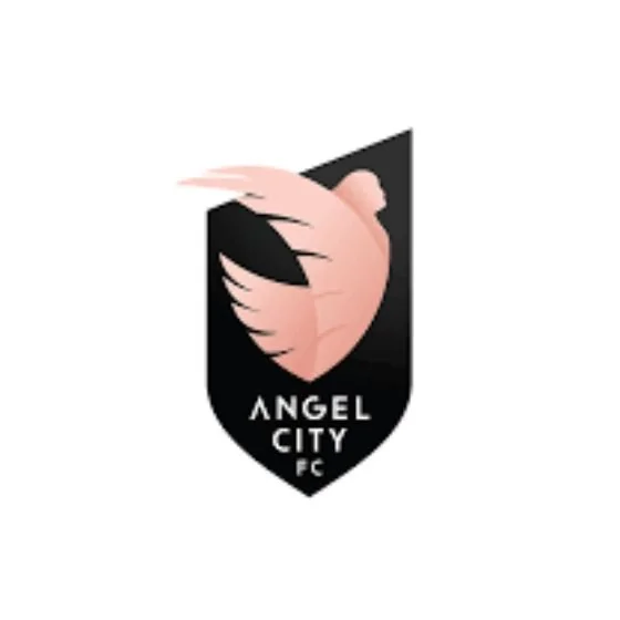 Angel City FC logo with a pink wing and black shield background.
