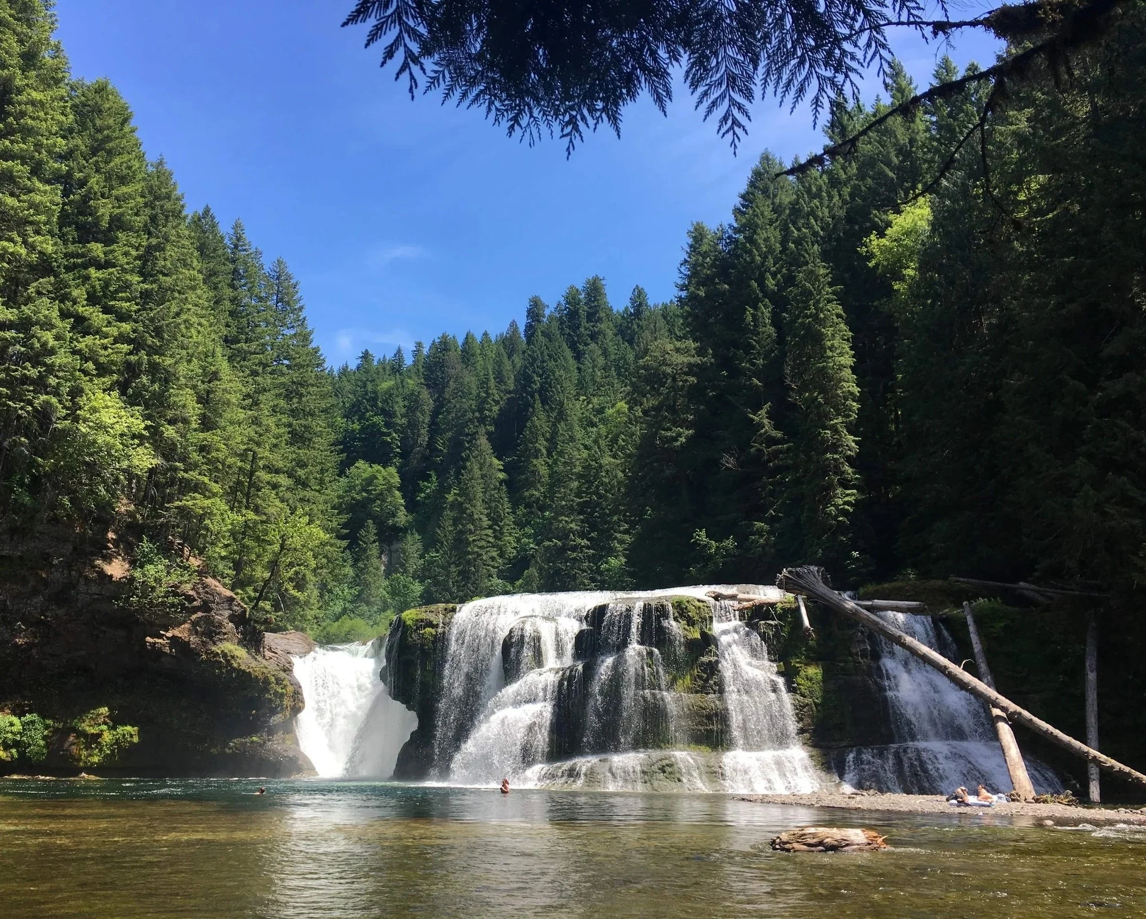 Scenic view of a waterfall flowing into a river, surrounded by green pine trees and rocky terrain under a blue sky.