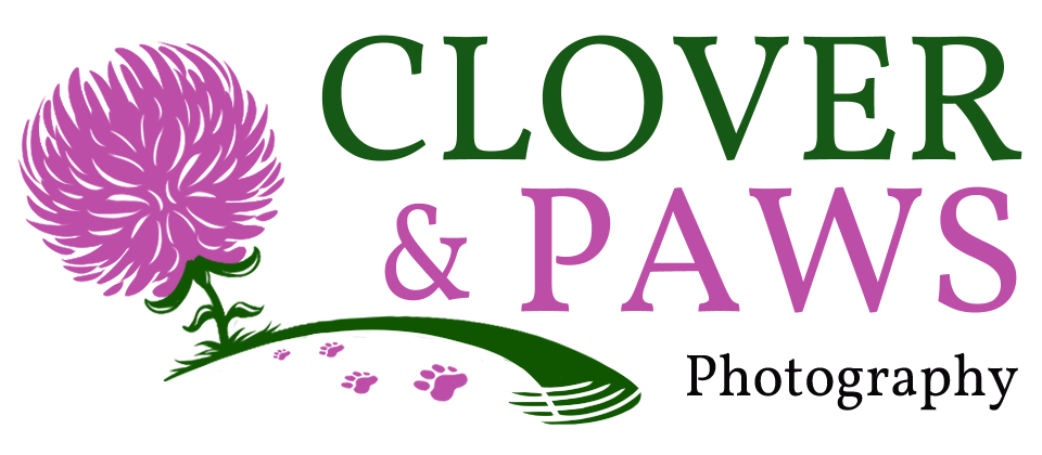 Clover &amp; Paws
