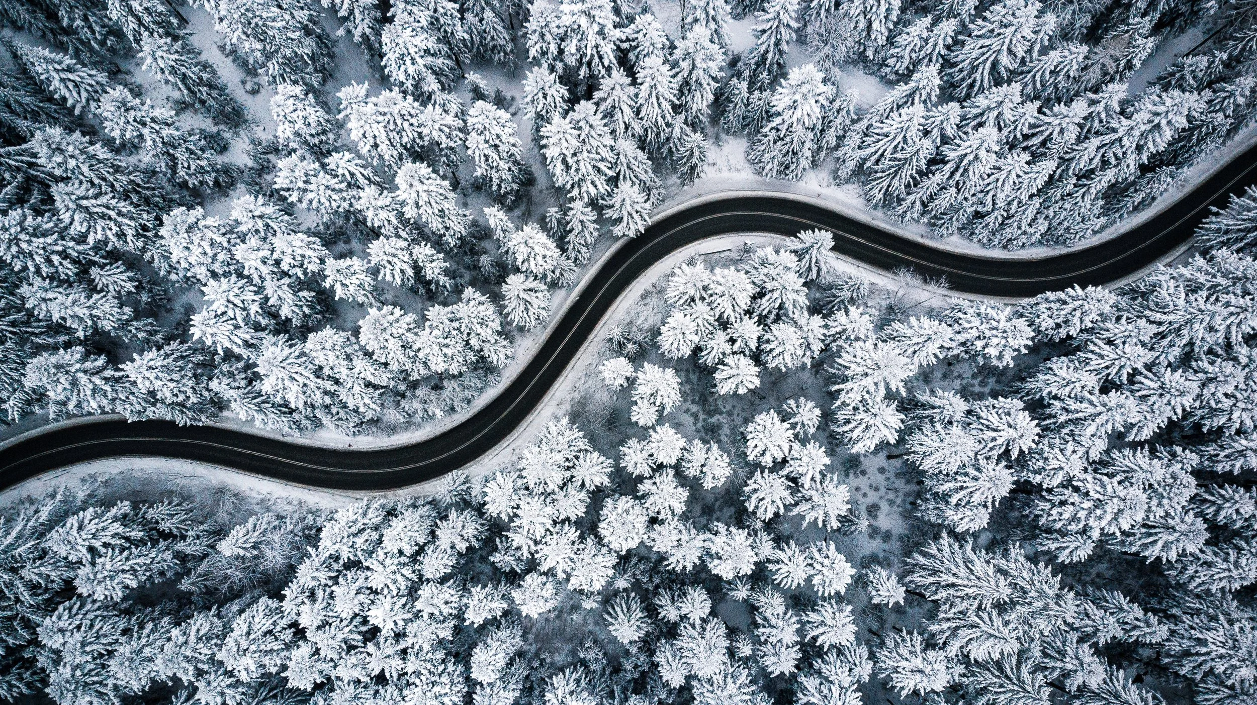 An aerial view of a winding road through a snow-covered forest with tall evergreen trees.