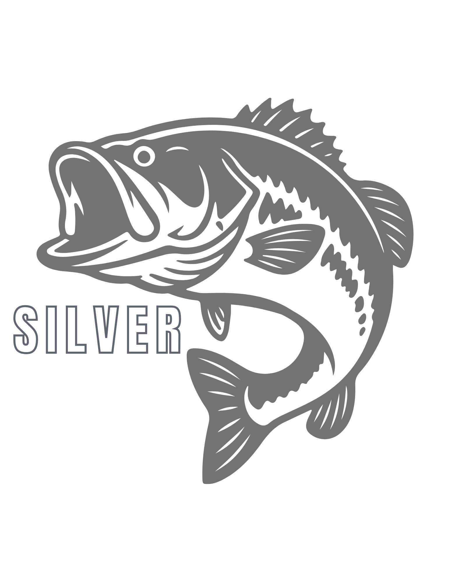 SILVER SPONSORSHIP