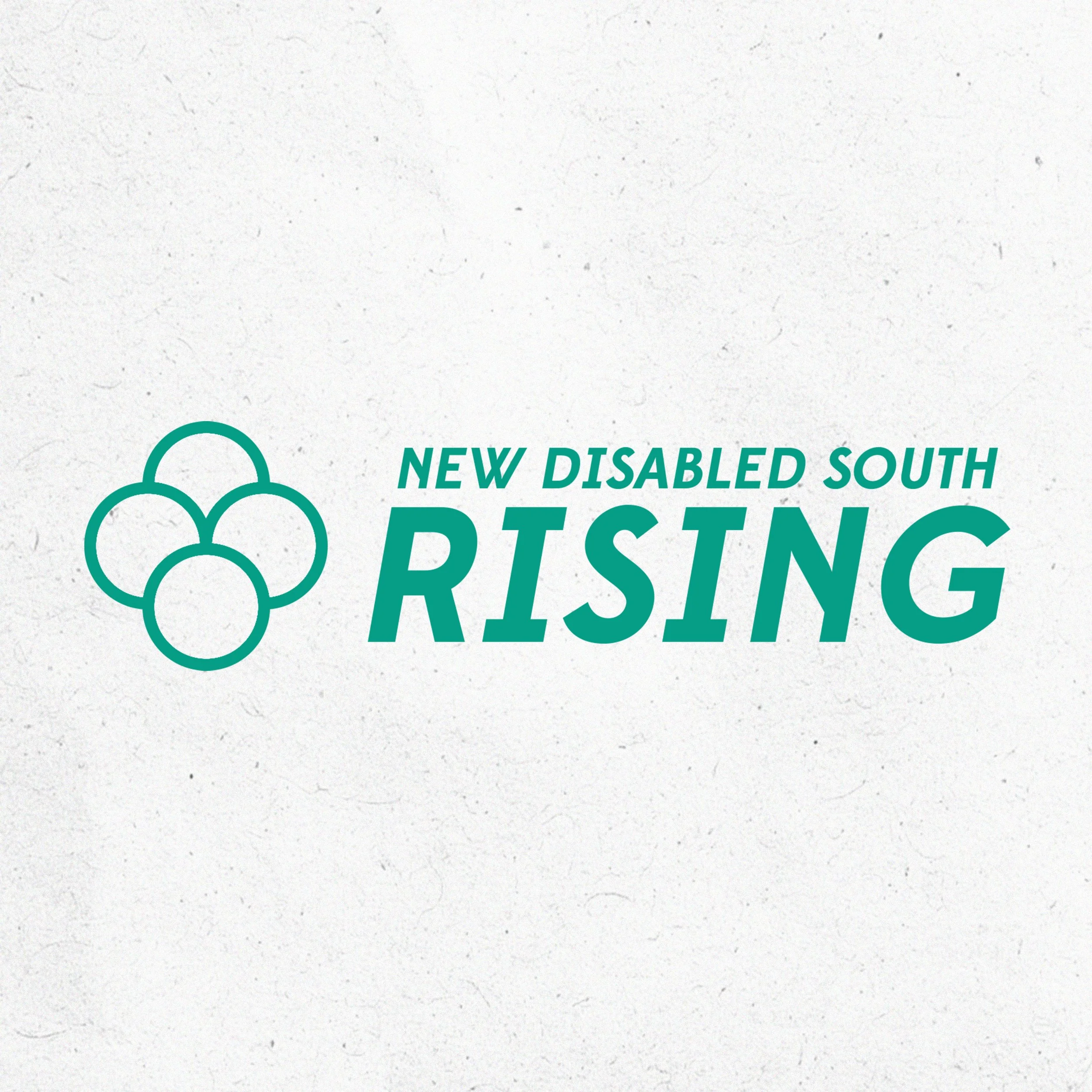 NDS_Rising_LogoDisplay.jpg