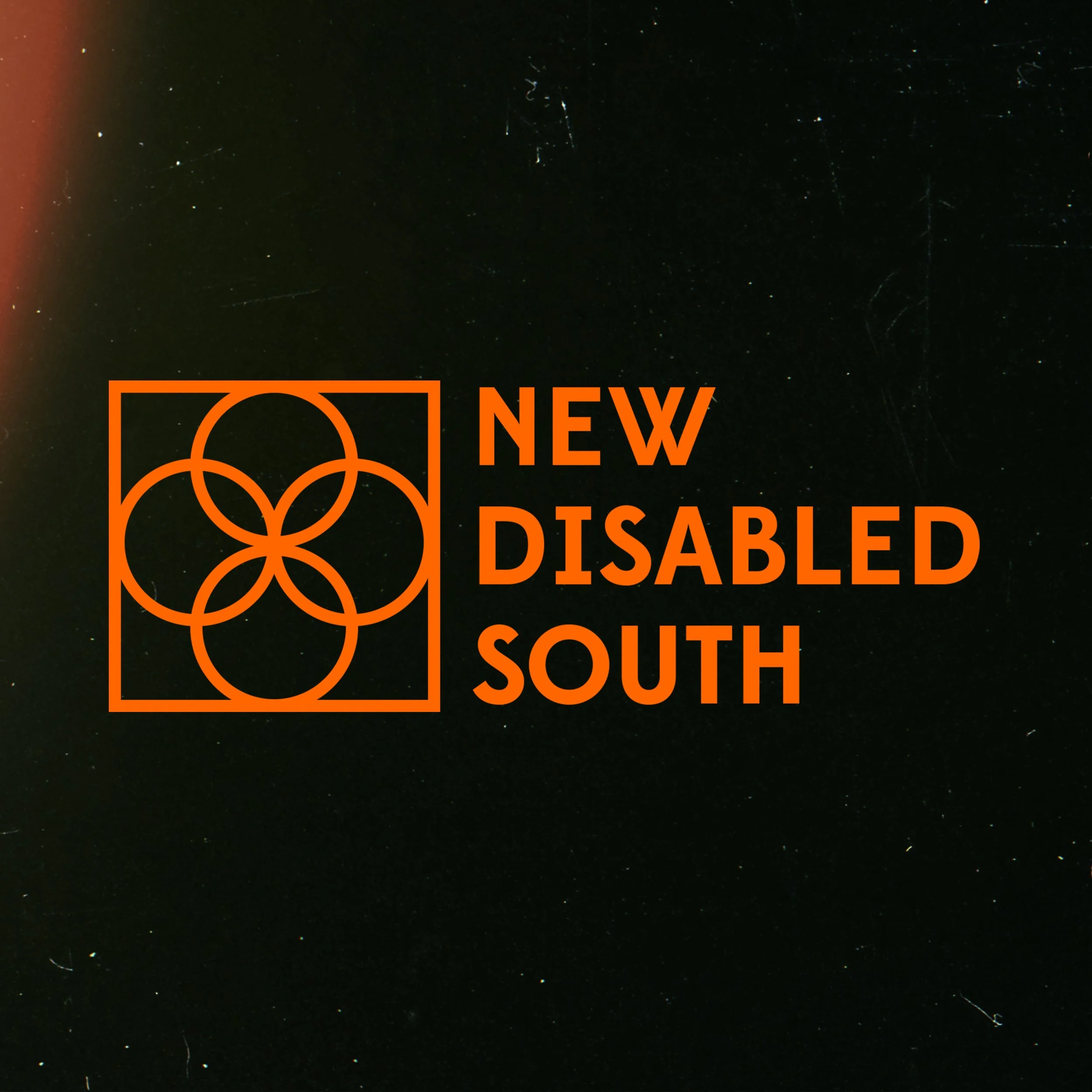 NDSLogoDisplay.jpg
