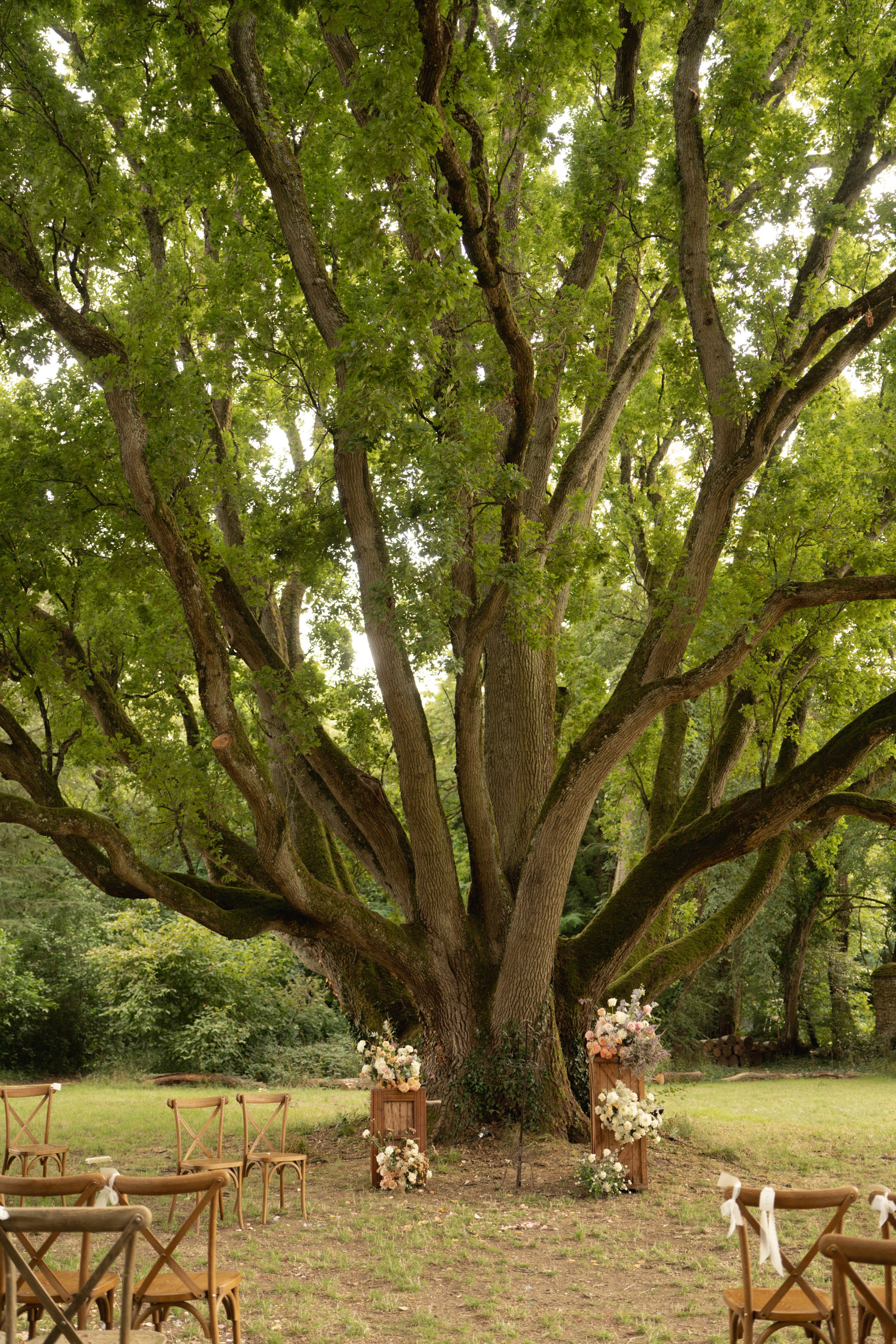 Wedding Florist, Wedding Flowers, Floral installation, Floral arrangements