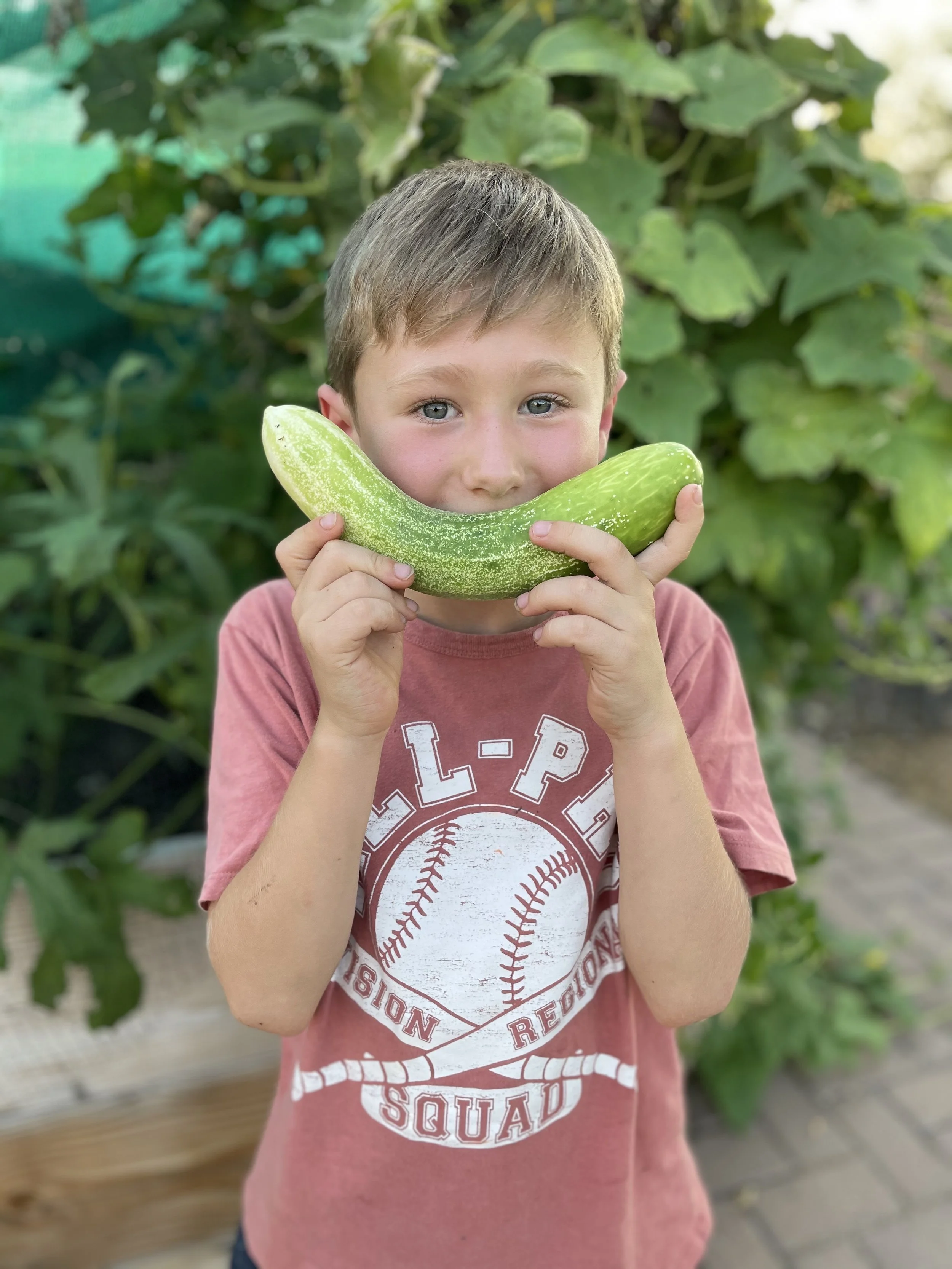 The Family Snack Bed Garden: A Kid-Friendly Way to Grow Food Together