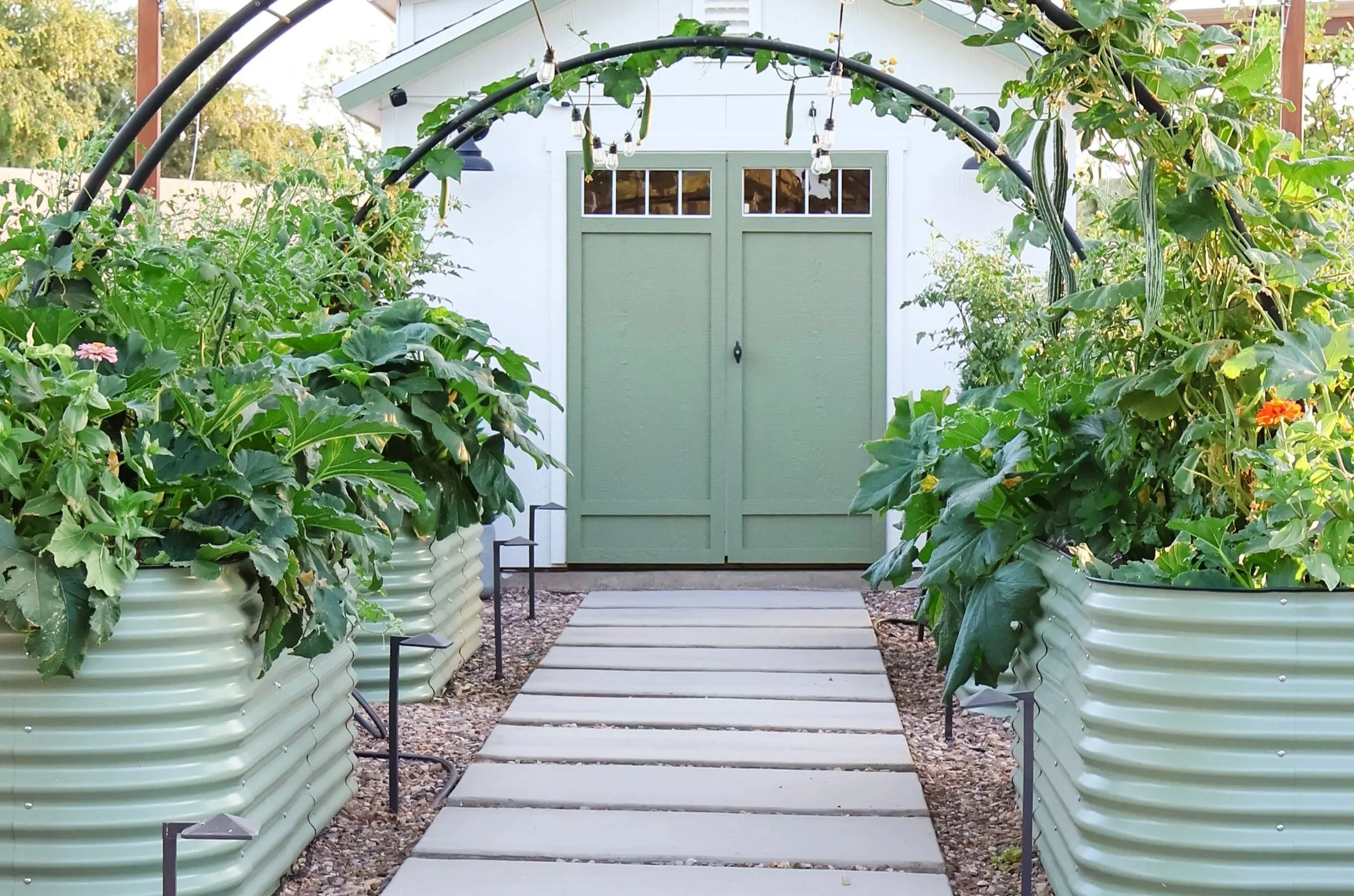 What I Wish I Knew Before Buying Raised Garden Beds (So You Don’t Waste Time or Money)