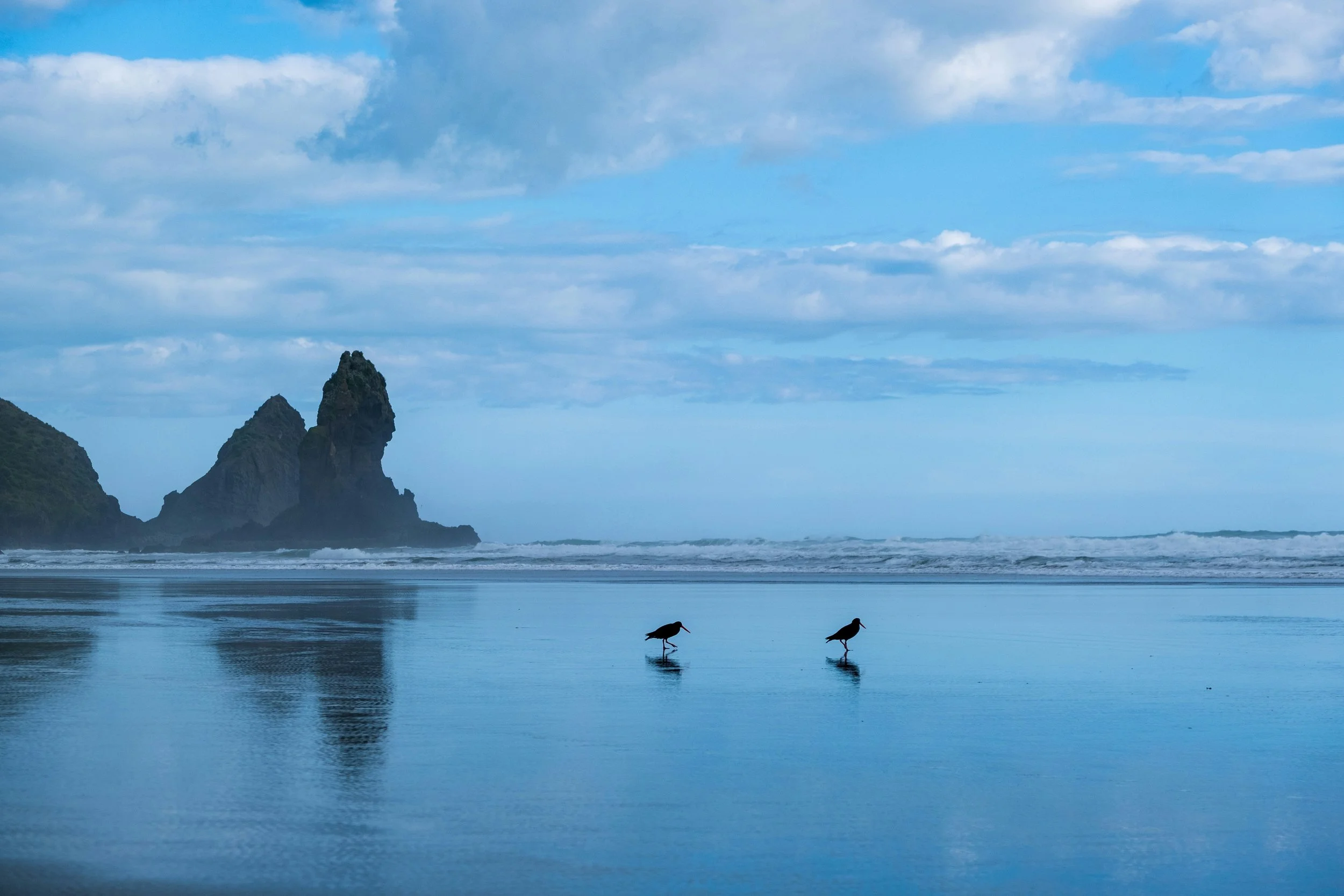 Two birds wading in the shallow water on a beach with rocky formations and clouds in the sky in the background.