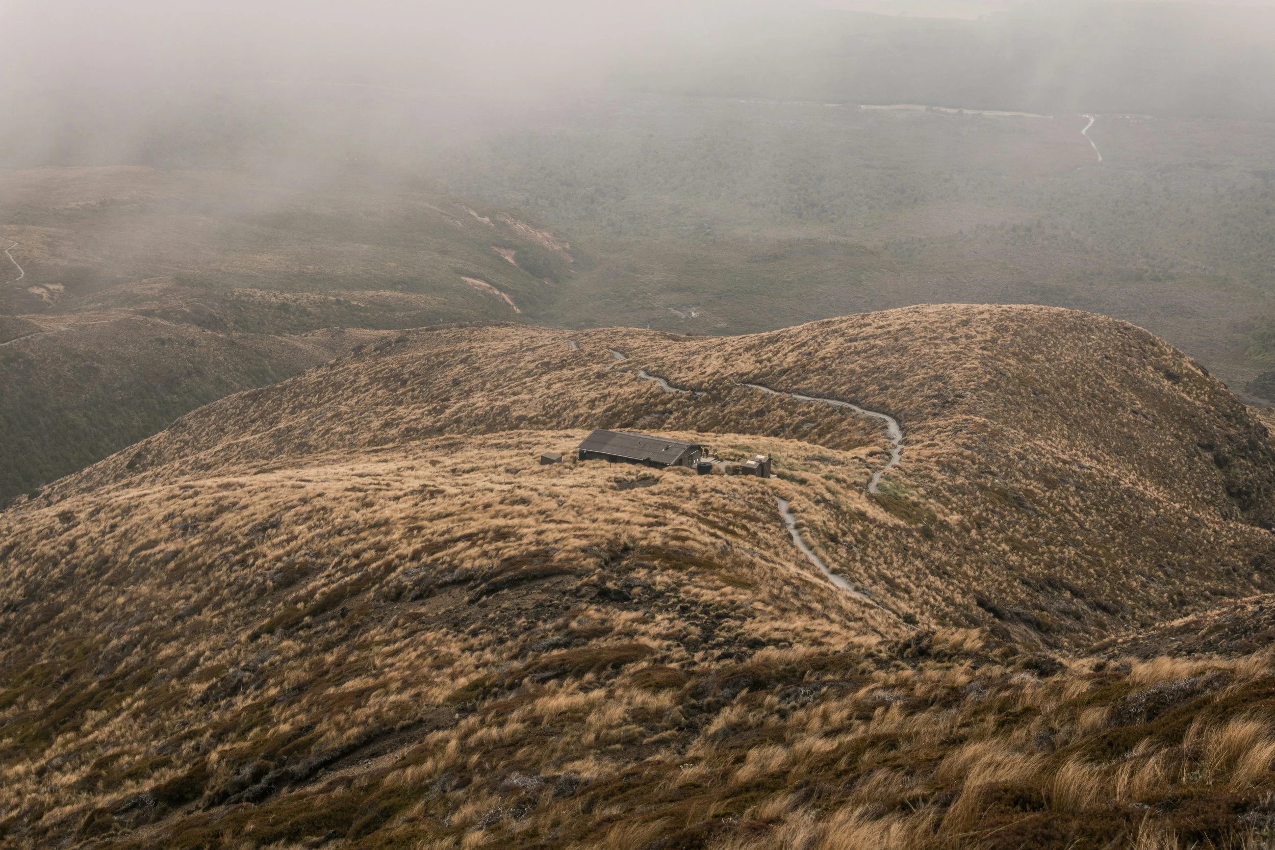 A misty mountain landscape with dry grass and a winding path leading to a small building or shelter on the hillside.